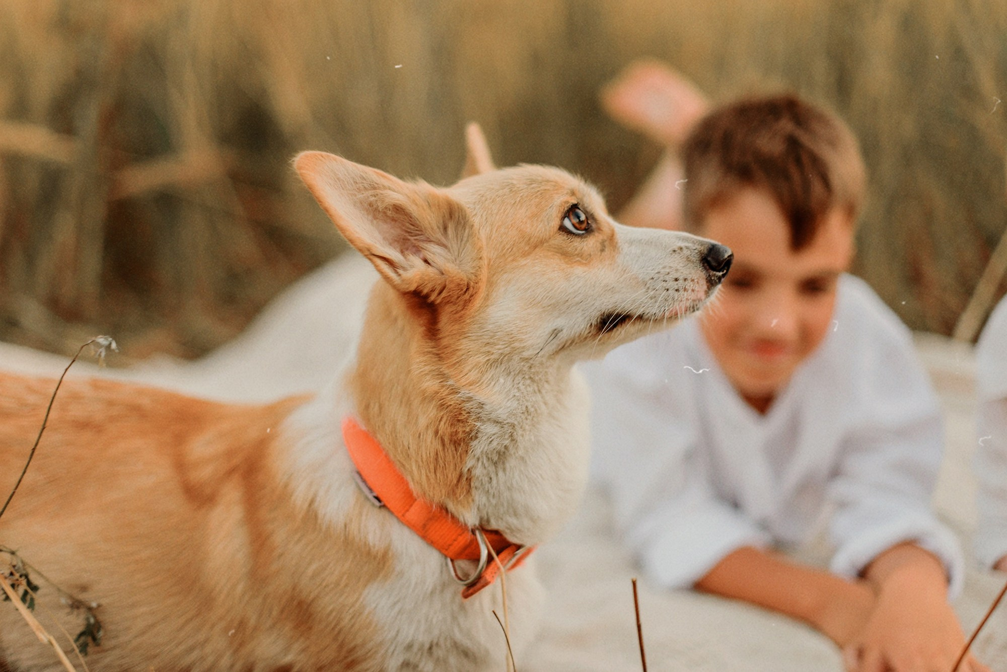 ЖЕНЯ, САША, СЕМЁН и ЛЁВА. Свадебный и семейный фотограф РИТА БОЧКАРЁВА