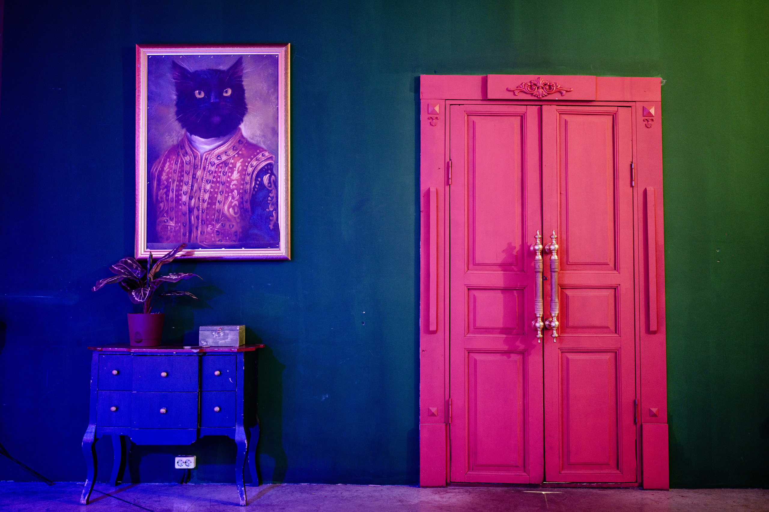 день рождения в стране чудес