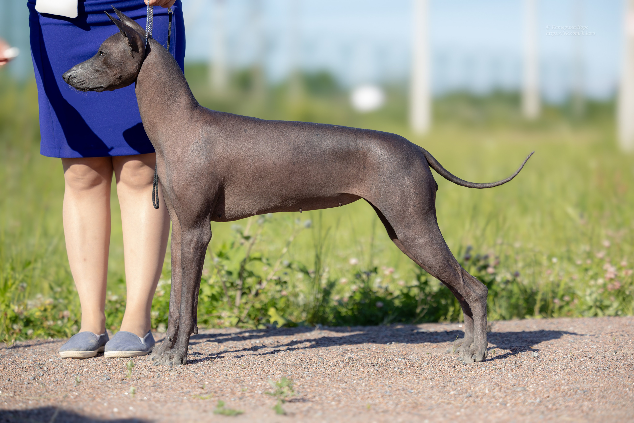 Выставки. Главная