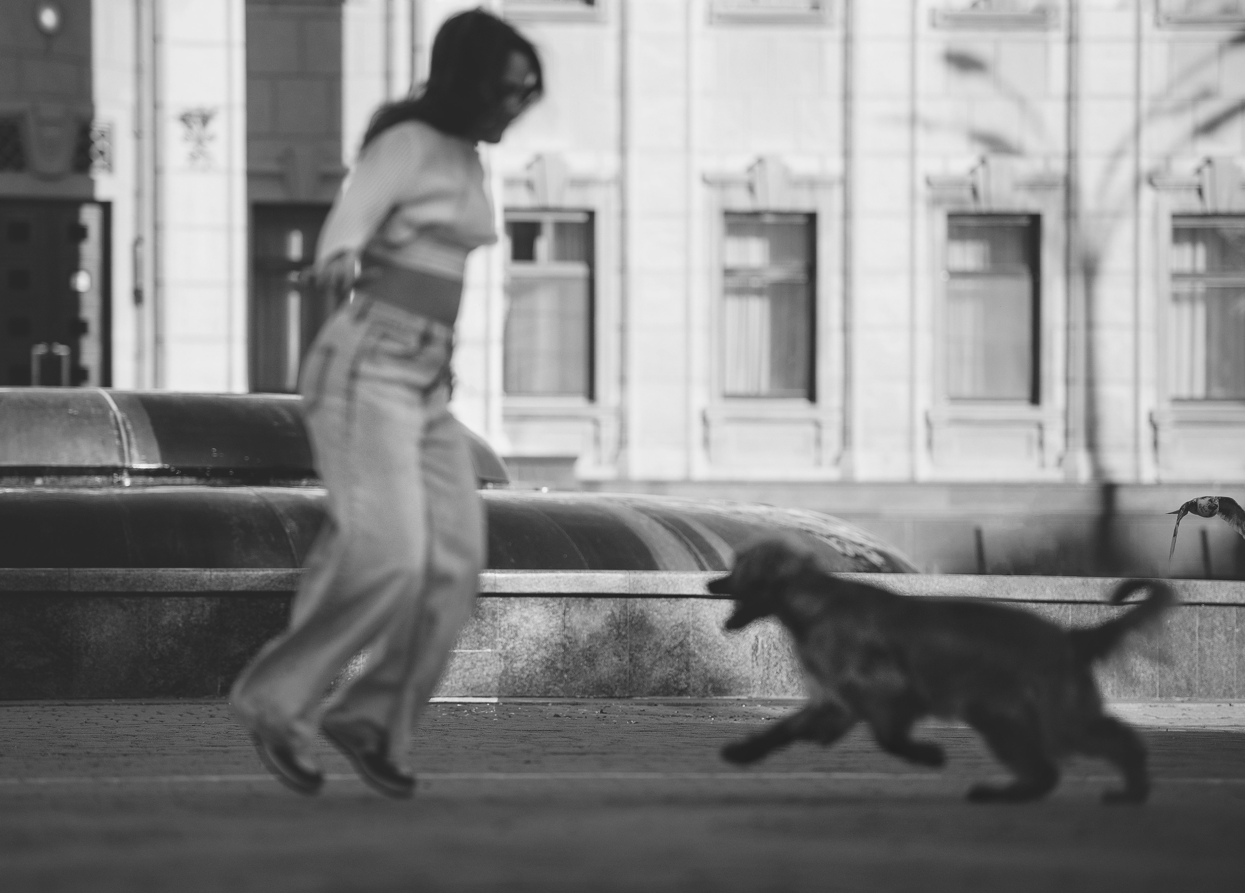 Лиза и Вуди. Фотограф-анималист Мария Орсеева, Краснодар