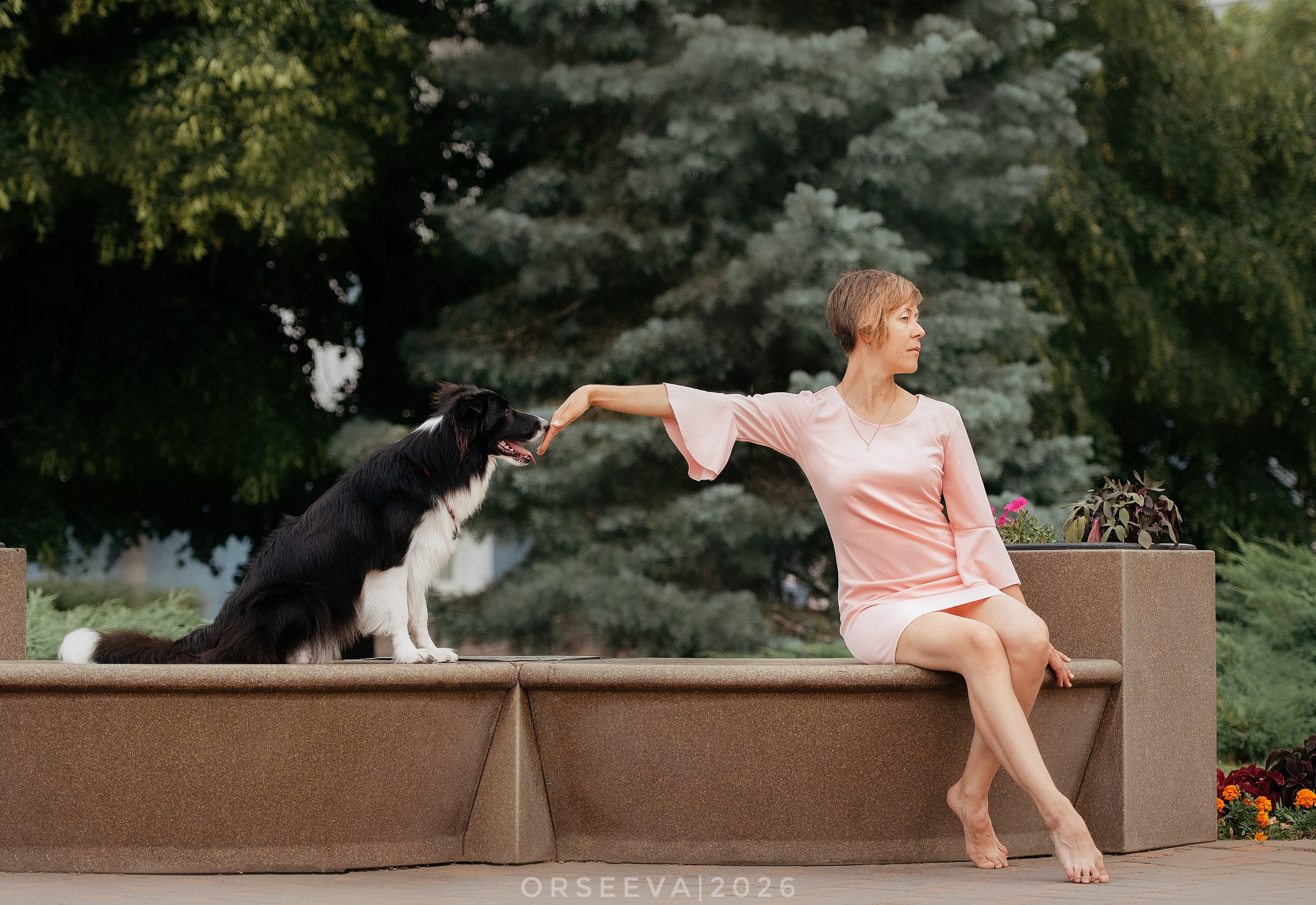 Катя и Йолль. Фотограф-анималист Мария Орсеева, Краснодар