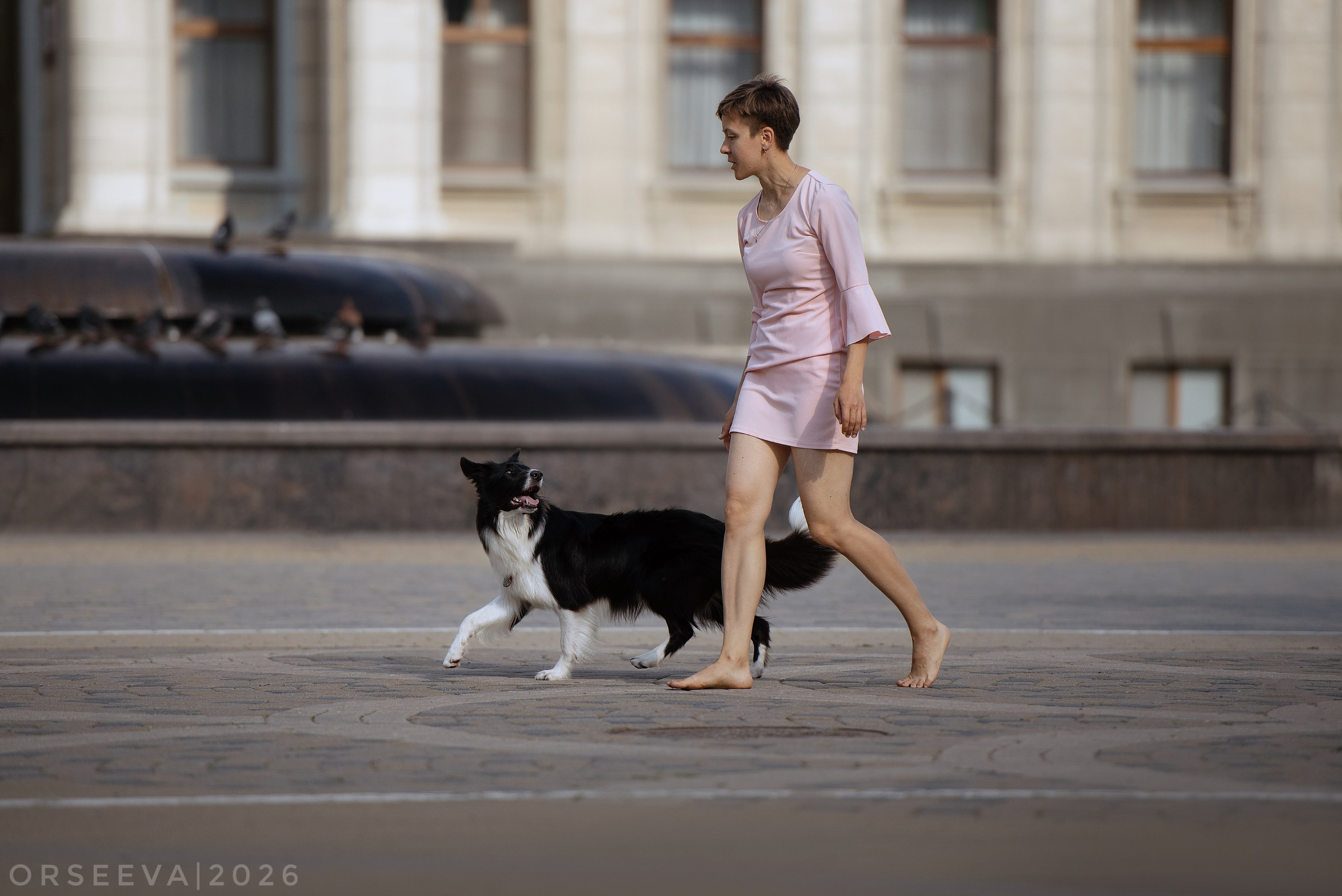 Катя и Йолль. Фотограф-анималист Мария Орсеева, Краснодар