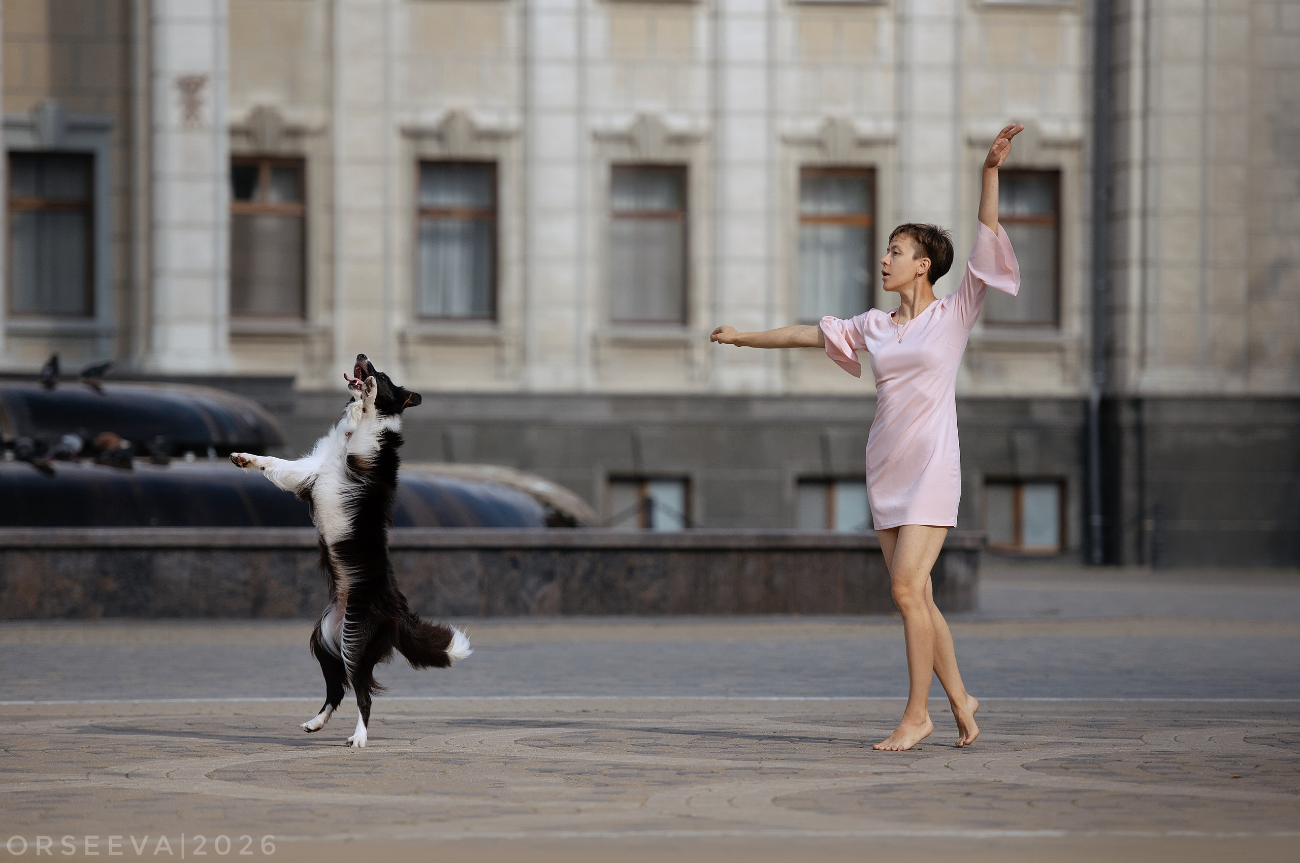 Катя и Йолль. Фотограф-анималист Мария Орсеева, Краснодар