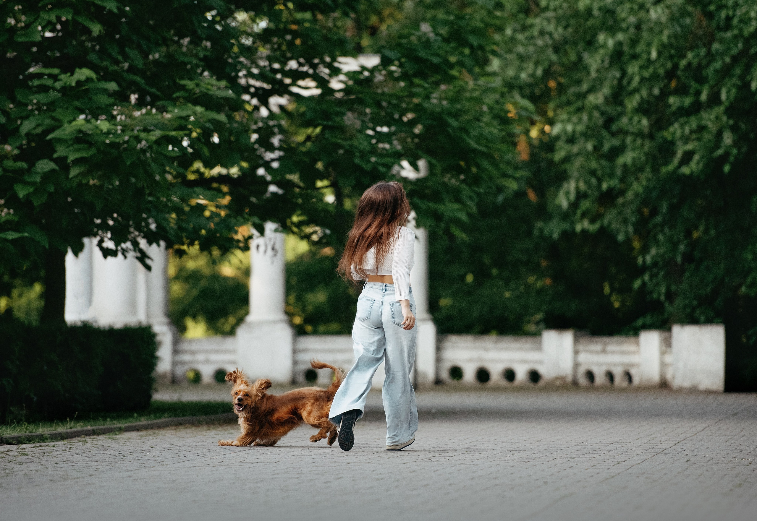 Лиза и Вуди. Фотограф-анималист Мария Орсеева, Краснодар