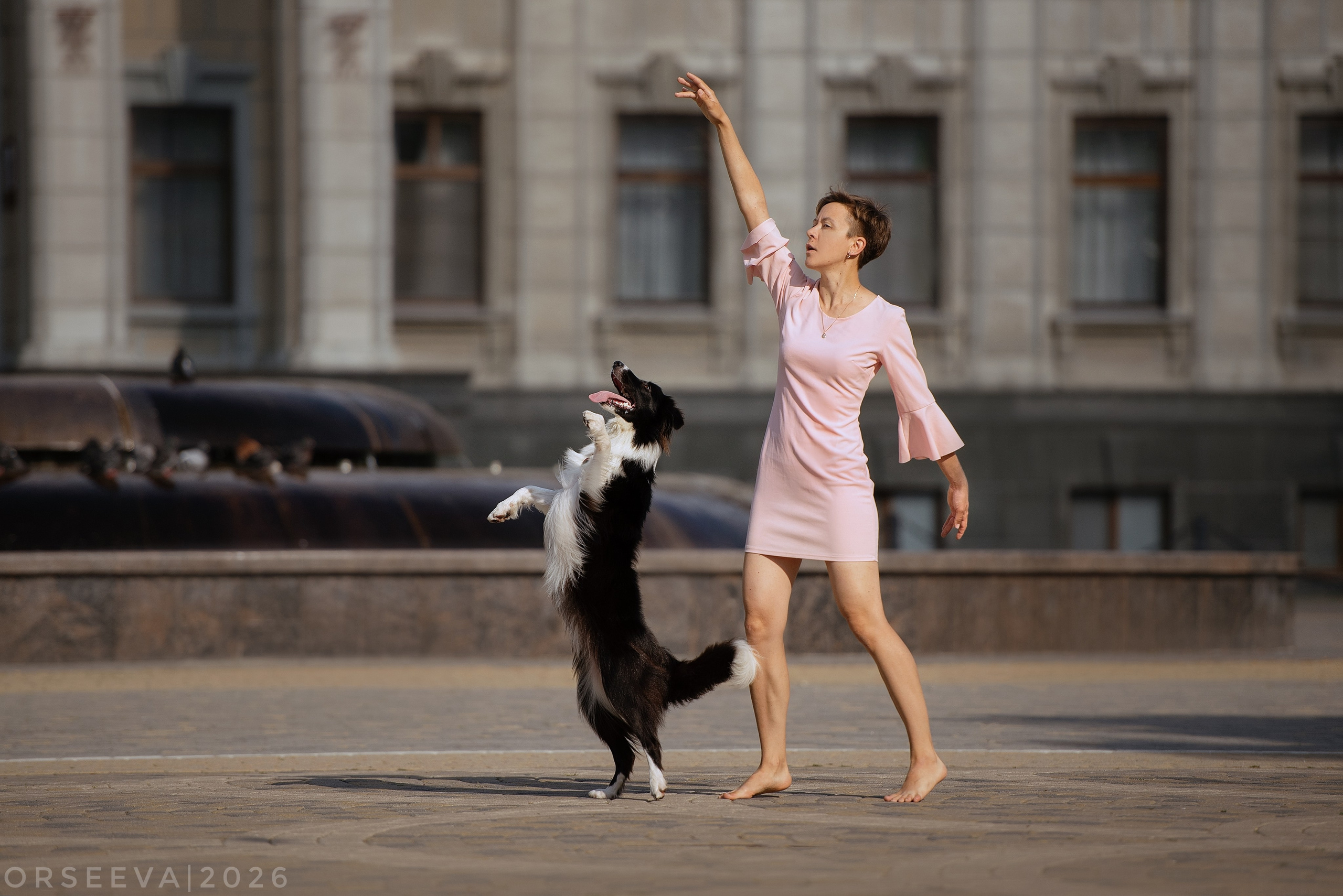 Катя и Йолль. Фотограф-анималист Мария Орсеева, Краснодар