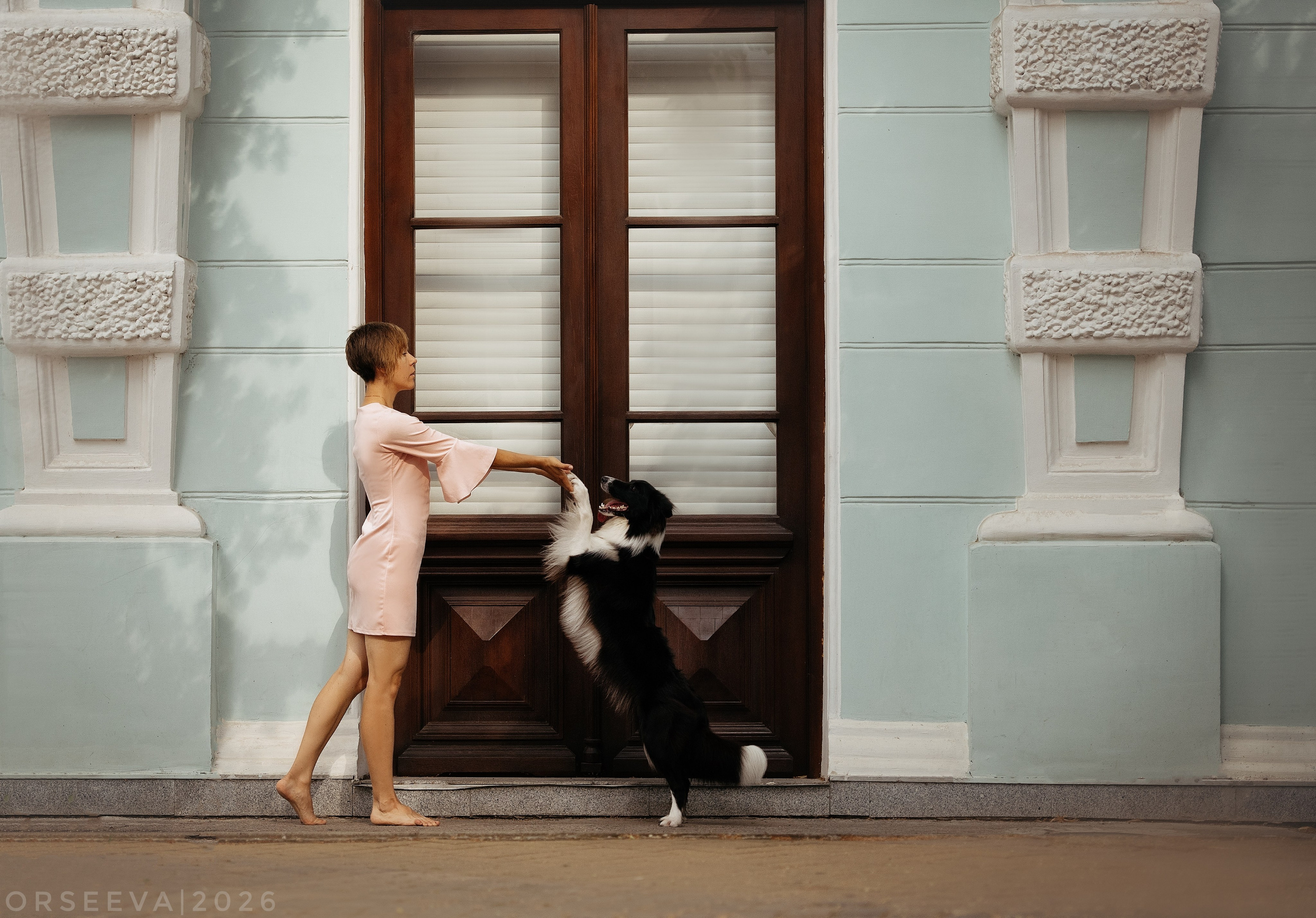 Катя и Йолль. Фотограф-анималист Мария Орсеева, Краснодар