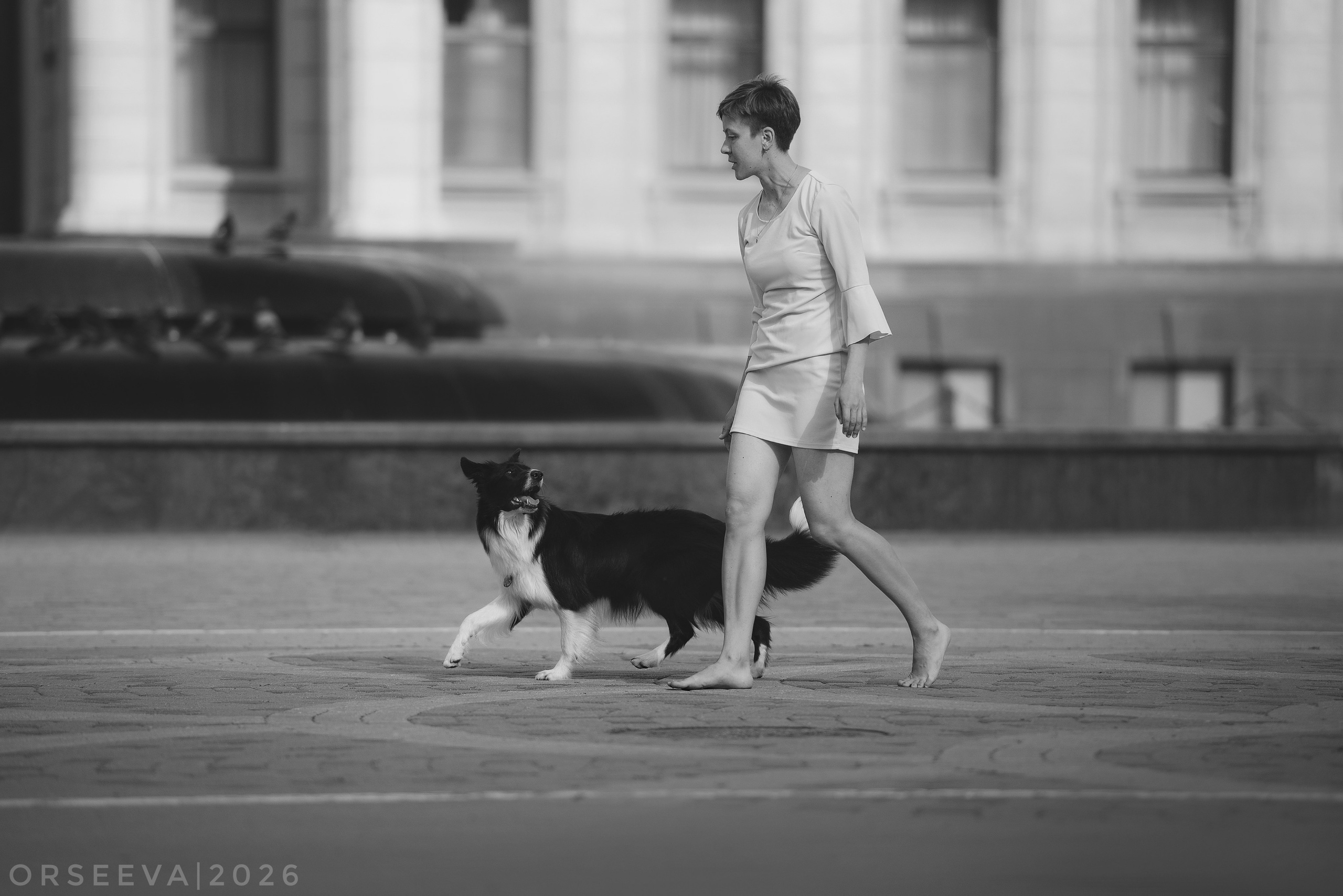 Катя и Йолль. Фотограф-анималист Мария Орсеева, Краснодар