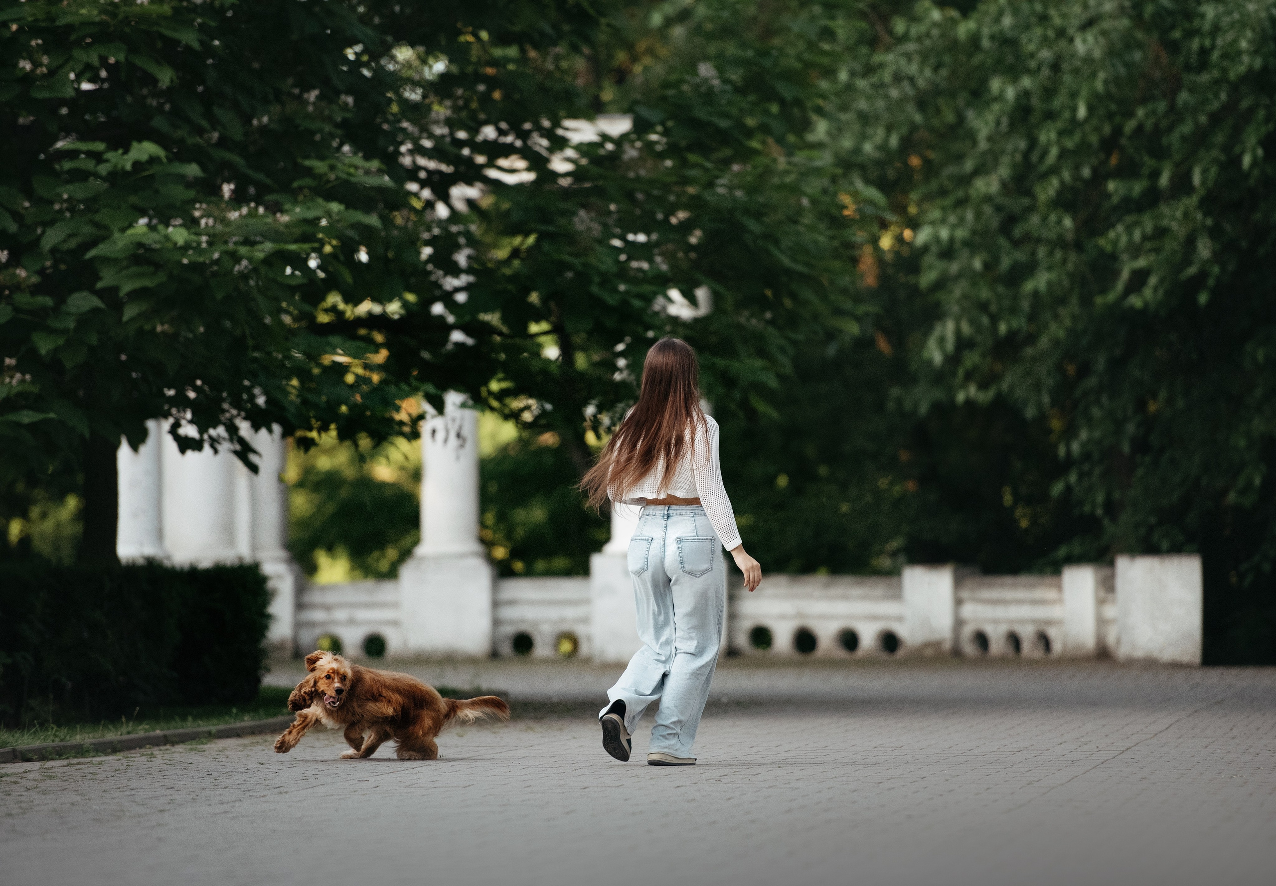 Лиза и Вуди. Фотограф-анималист Мария Орсеева, Краснодар
