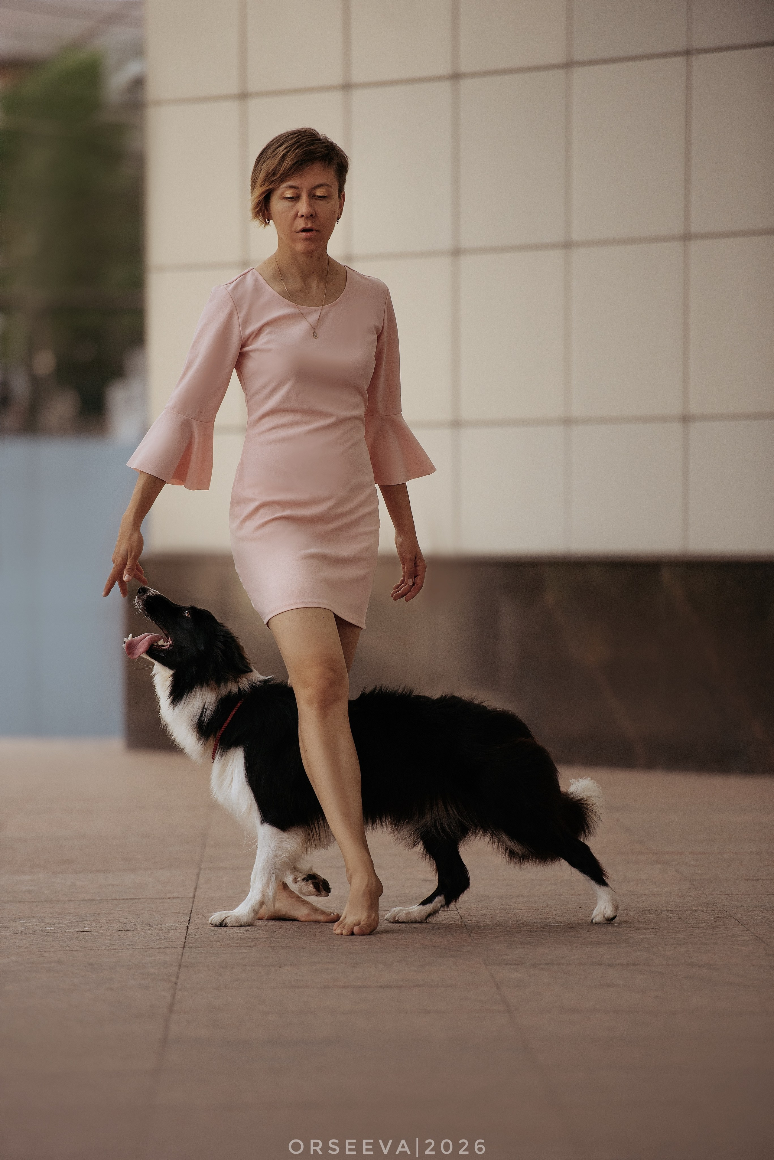 Катя и Йолль. Фотограф-анималист Мария Орсеева, Краснодар