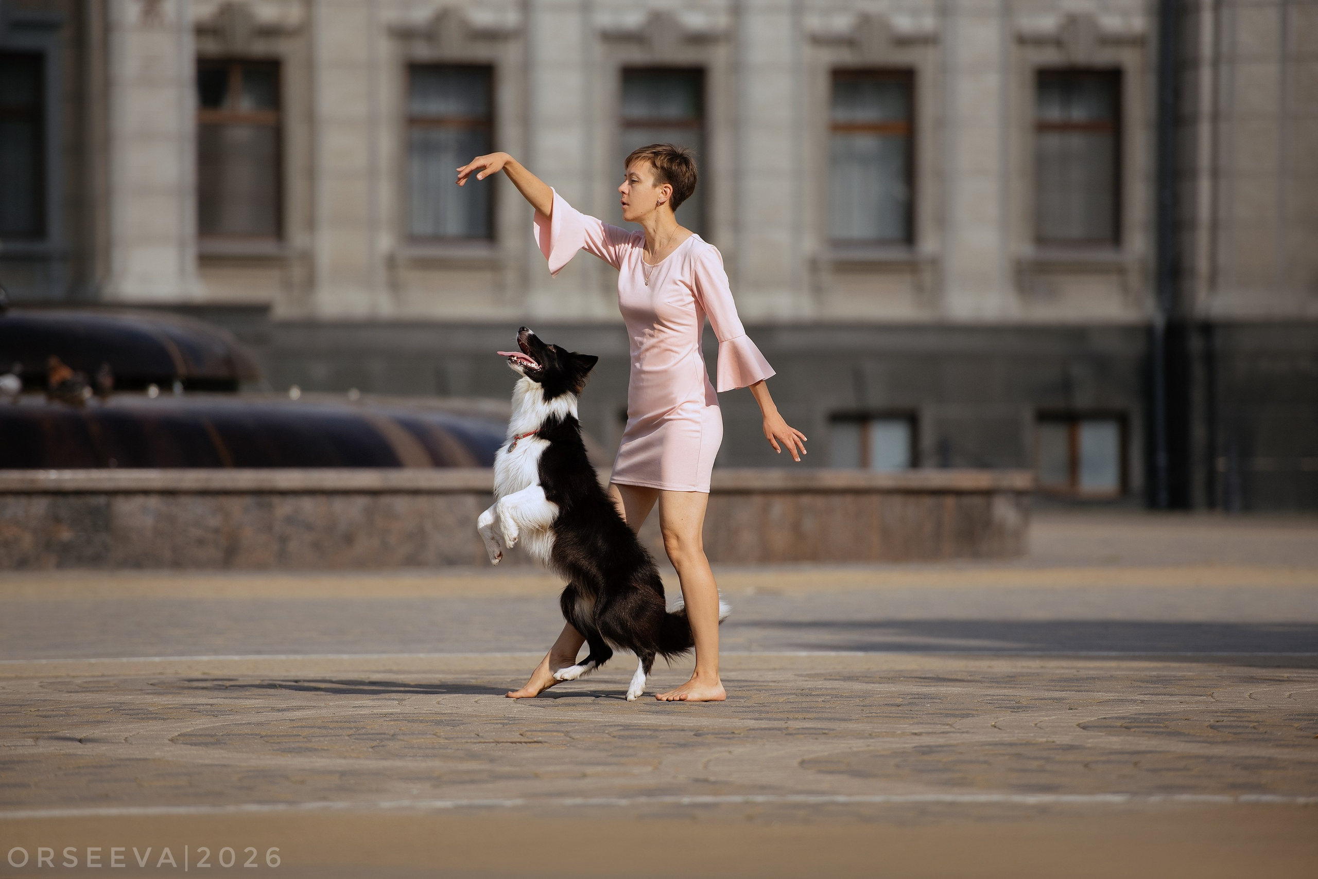 Катя и Йолль. Фотограф-анималист Мария Орсеева, Краснодар