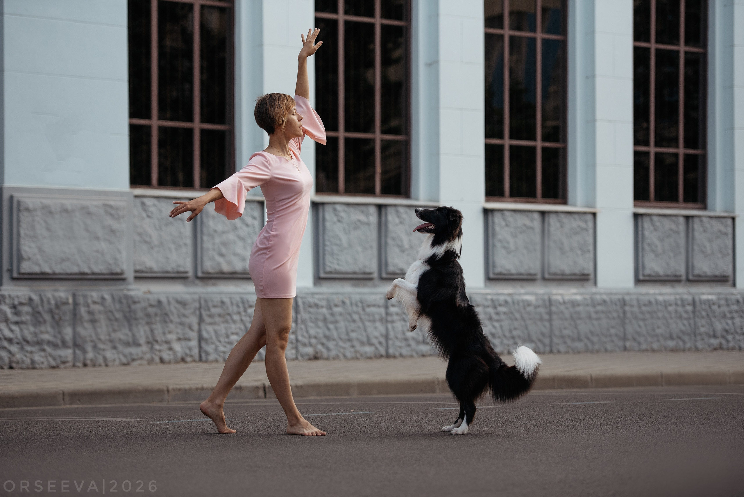 Катя и Йолль. Фотограф-анималист Мария Орсеева, Краснодар