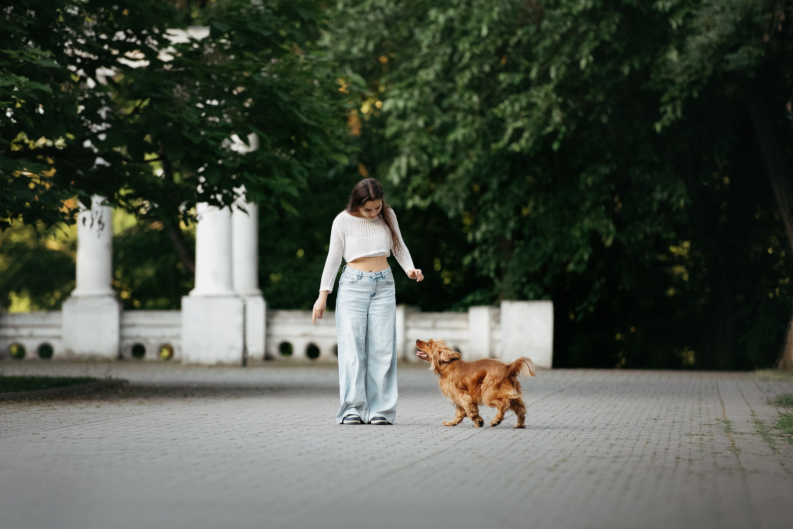 Лиза и Вуди. Фотограф-анималист Мария Орсеева, Краснодар