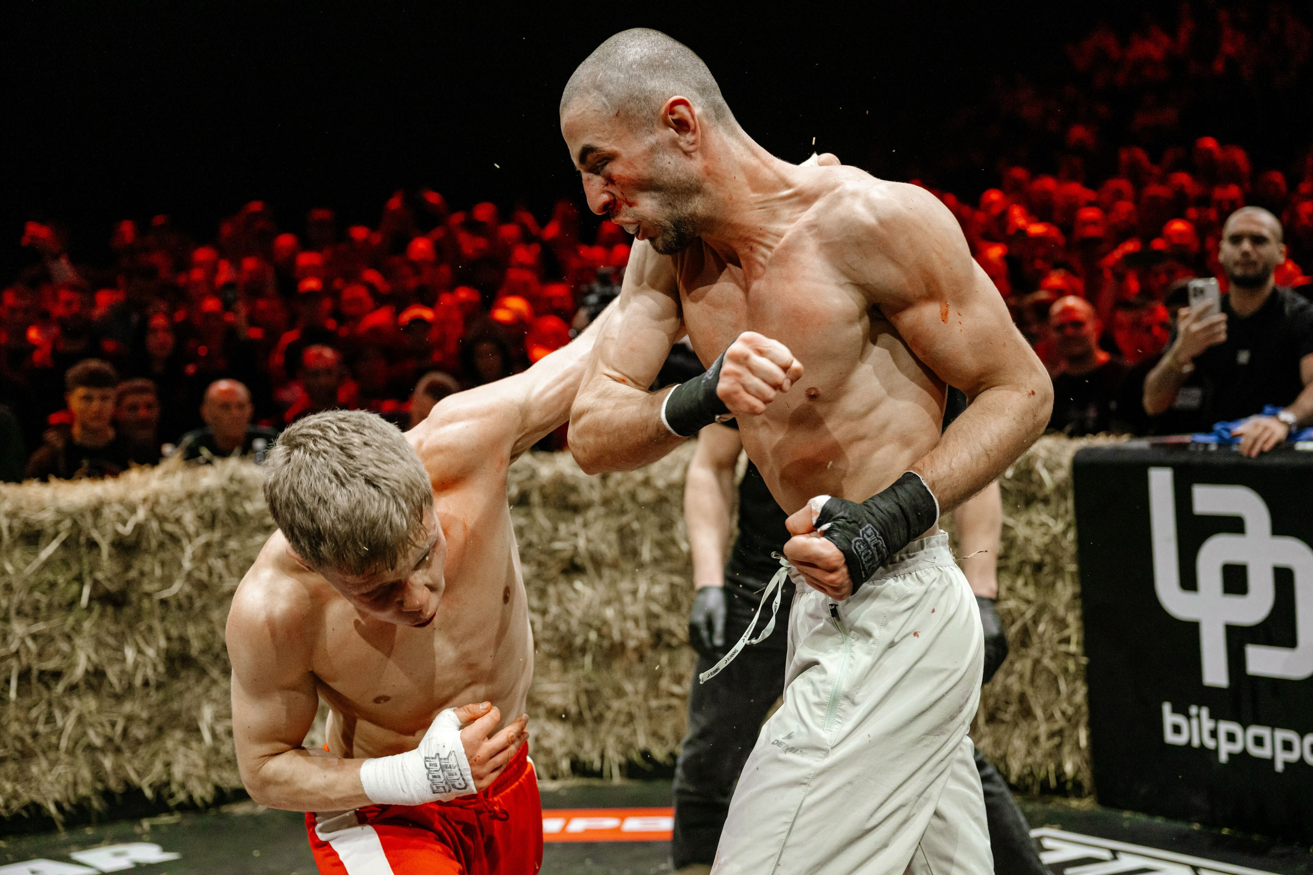 TOP DOG. Максим Комаров — Профессиональный фотограф