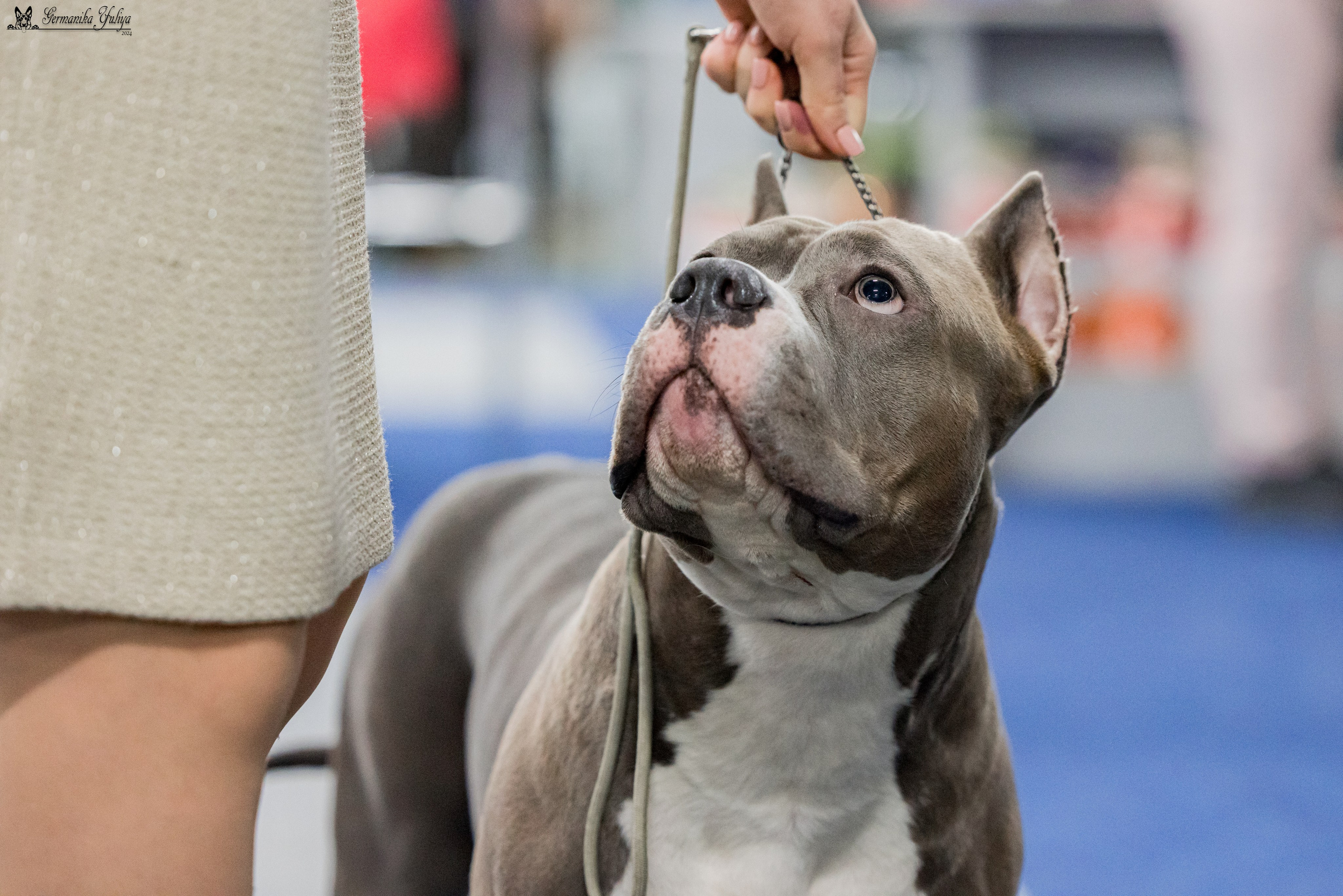 Сфера 28.01. и 4.02.2024. Фотограф-анималист Юлия Германика