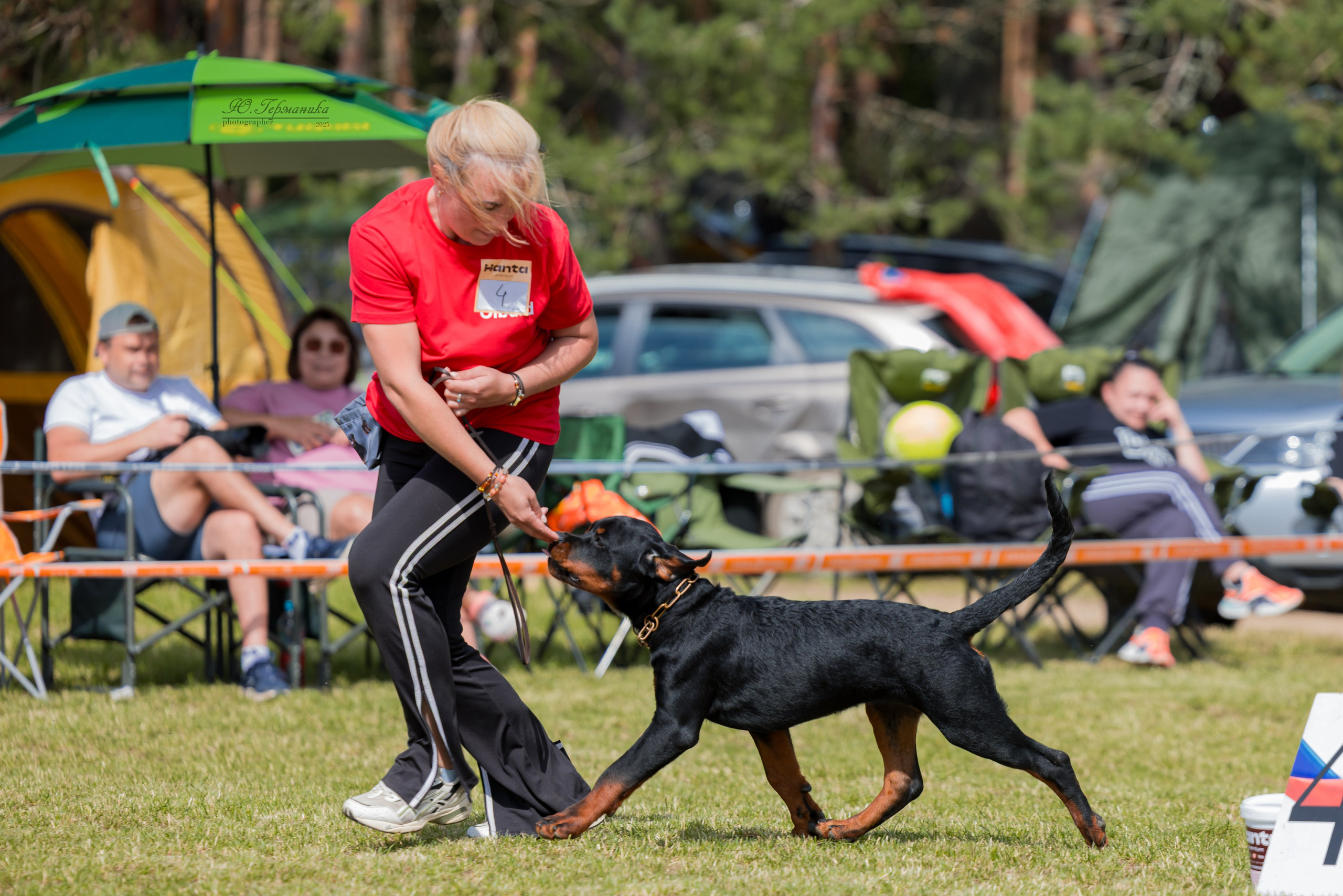 Тверь ротвейлеры 5-6.07.2025. Фотограф-анималист Юлия Германика