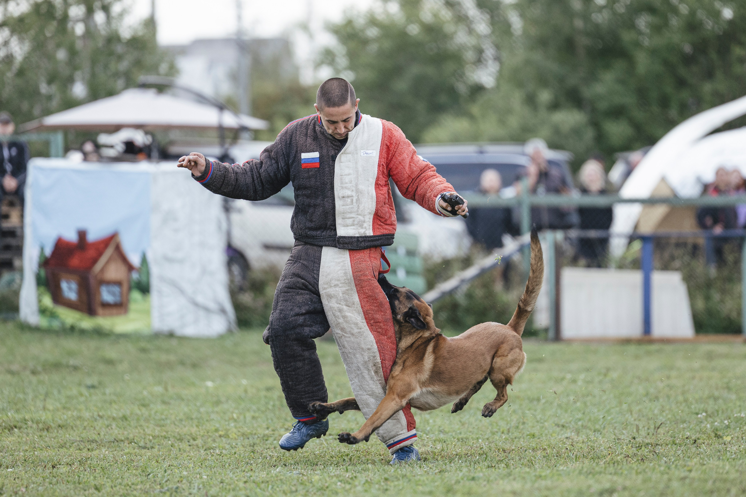08.08.25-10.08.25 ЧР по мондьорингу г. Вологда. Фотограф-анималист Анна Маринич