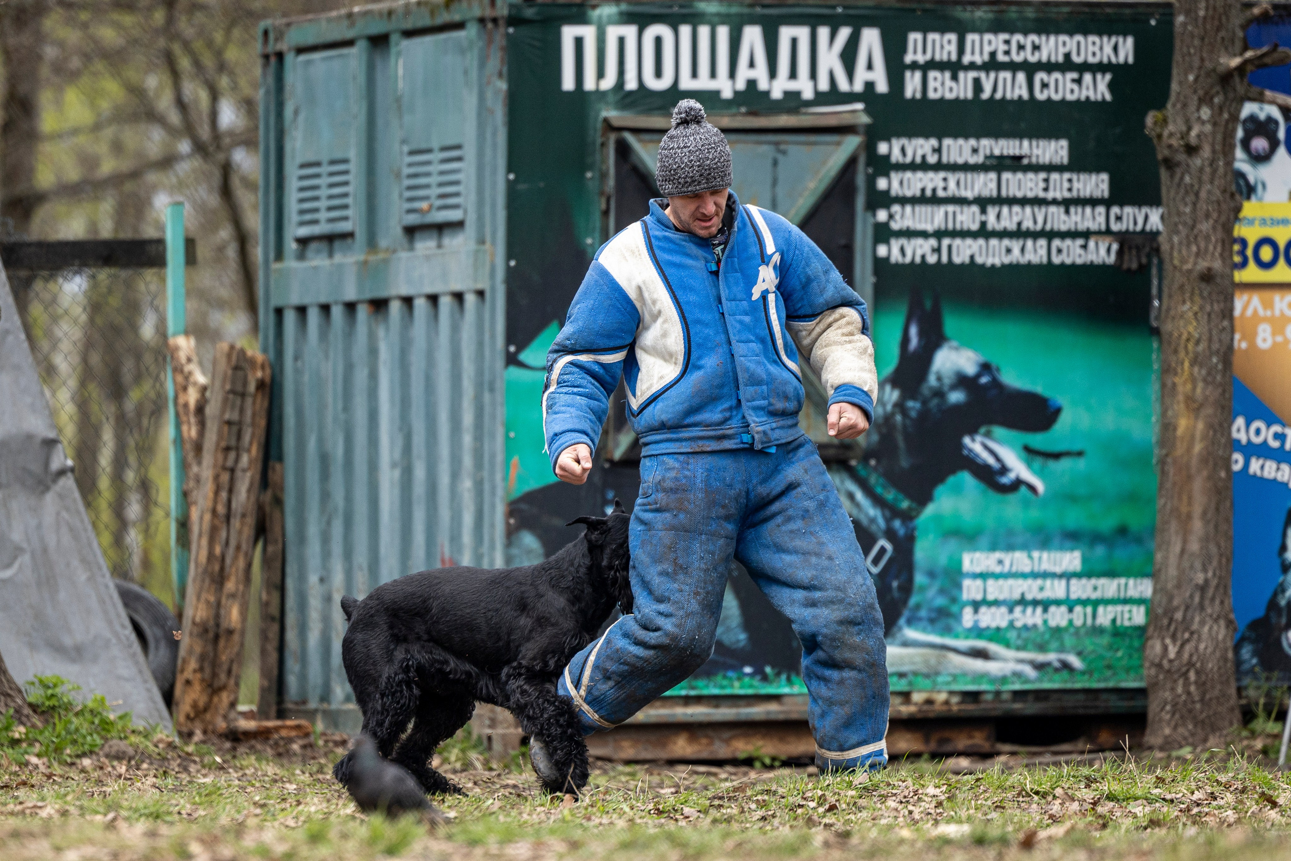 Квалификационные состязания по мондьорингу г. Вологда 11.05.24. Фотограф-анималист Анна Маринич