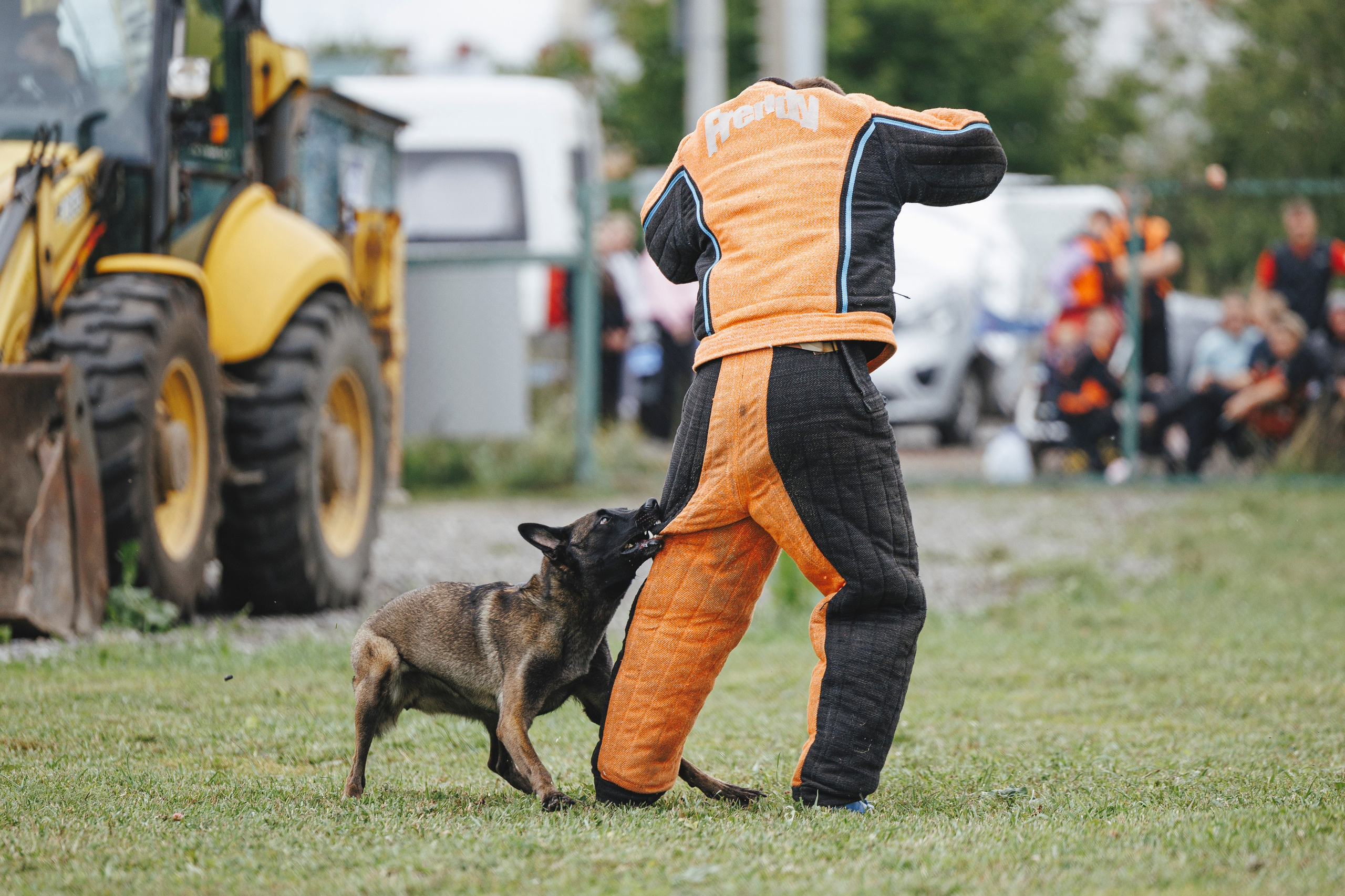 08.08.25-10.08.25 ЧР по мондьорингу г. Вологда. Фотограф-анималист Анна Маринич