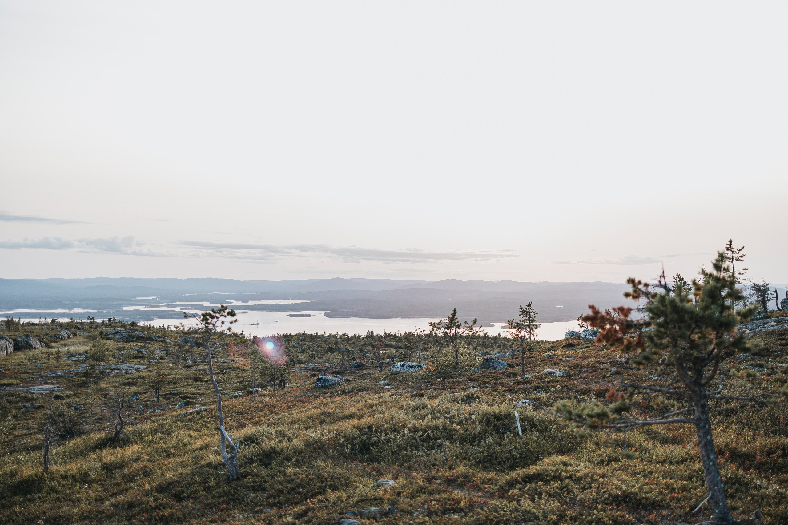 Горы. Фотограф-анималист Анна Маринич