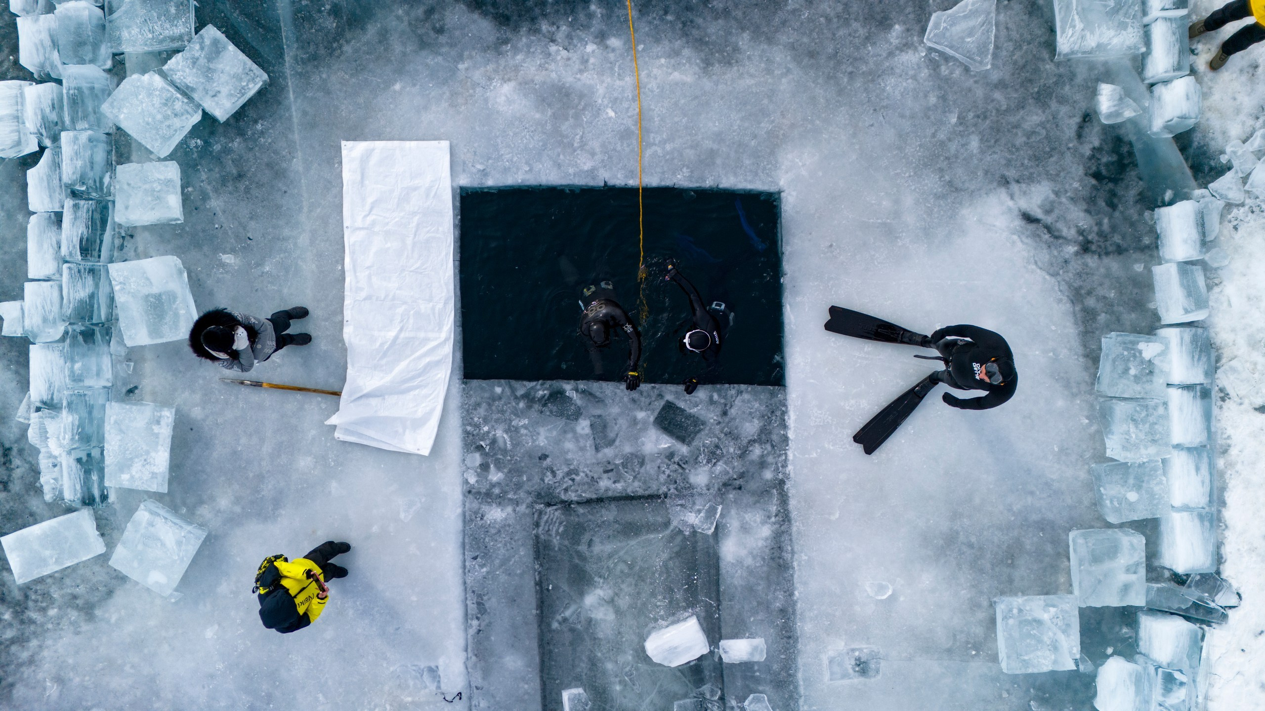 Групповые/Репортажные съемки. Dmitry Golenko