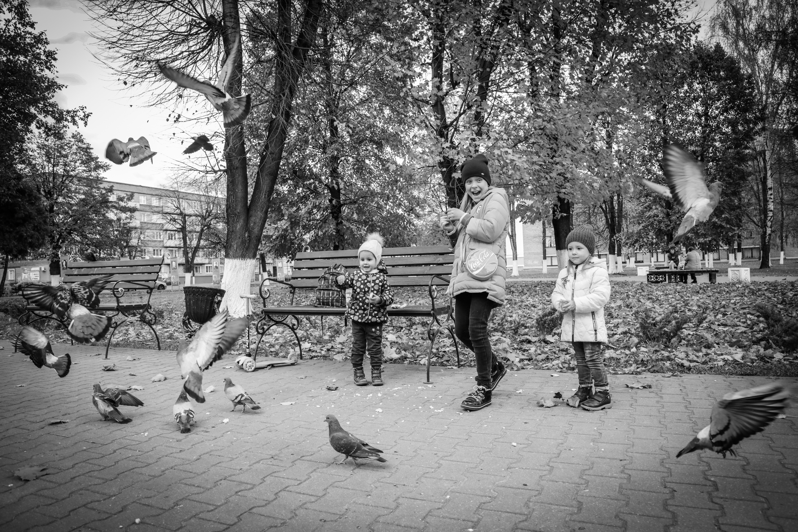 Борисов, дети, голуби