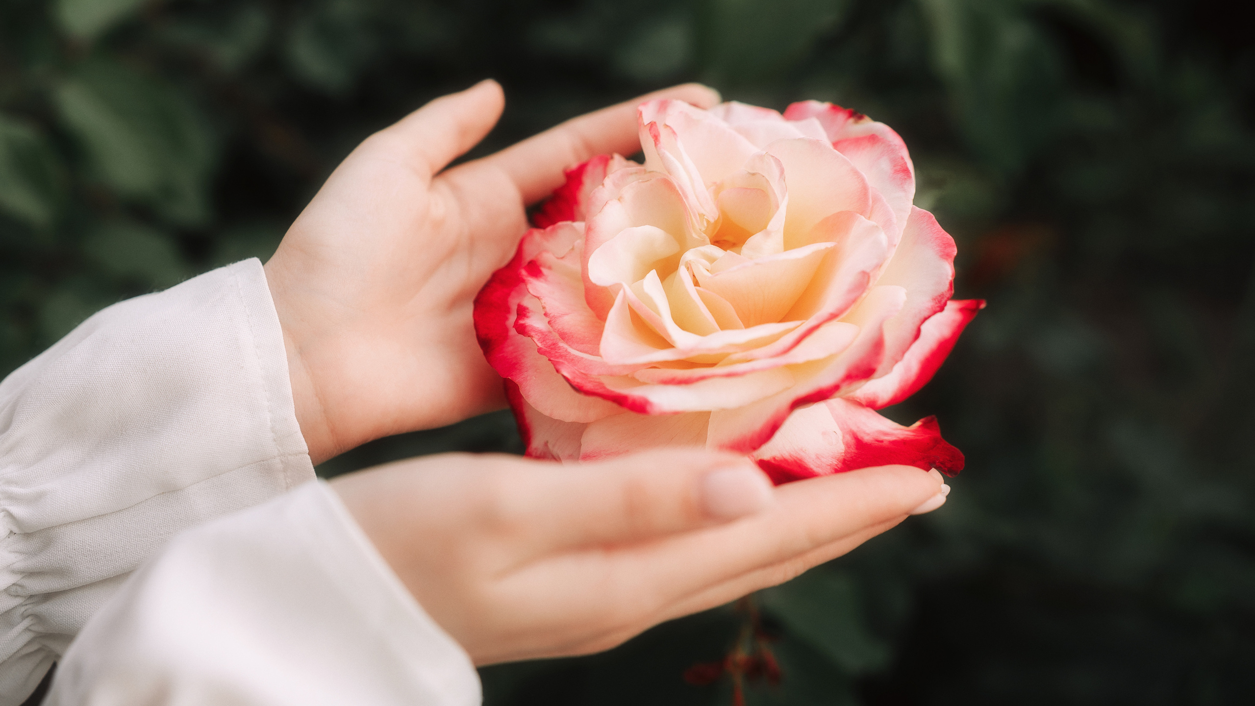 Девушка держит руками прекрасный цветок.