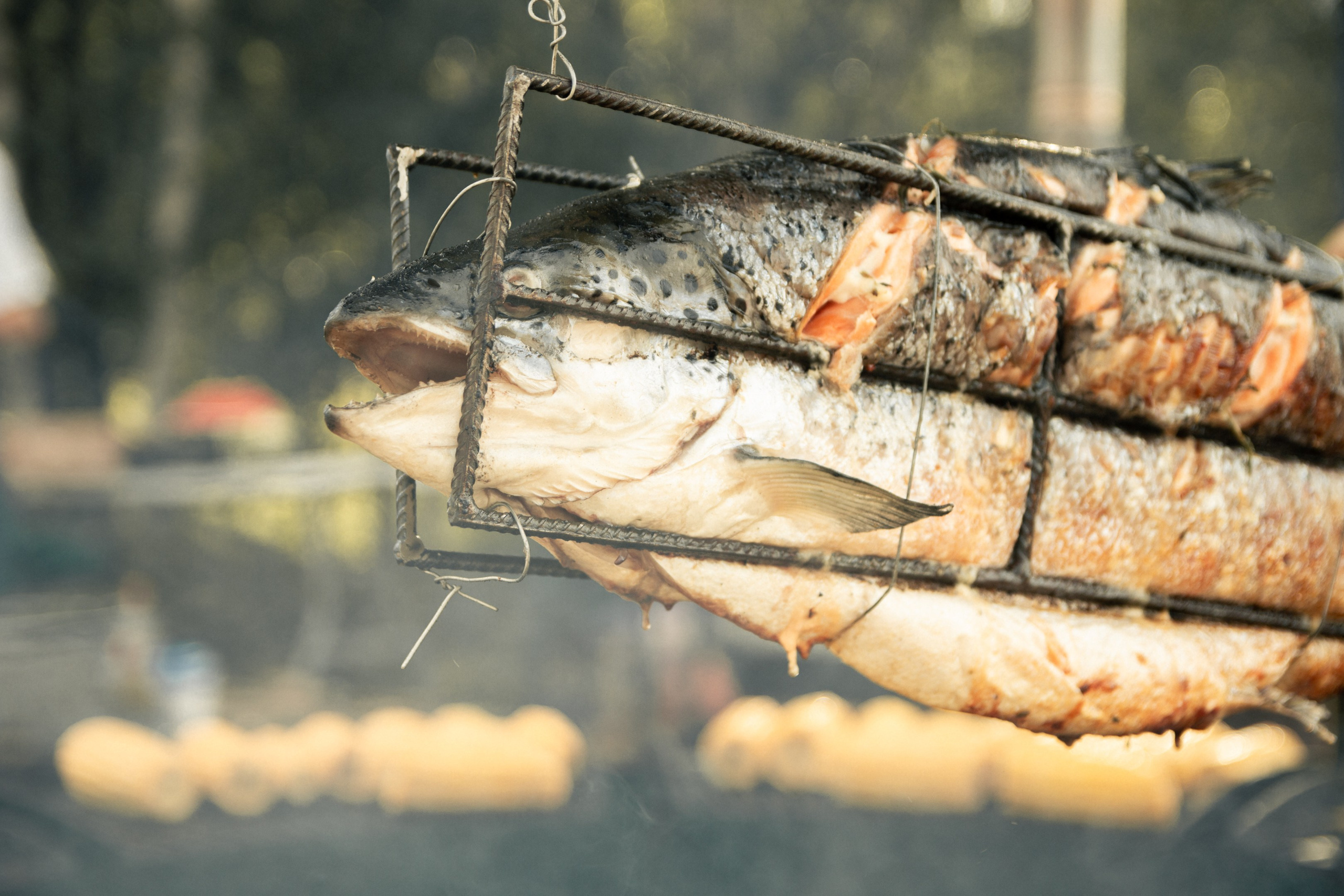 Супер ГЭС 2024. Фотограф в Ярославле Никита Зайцев