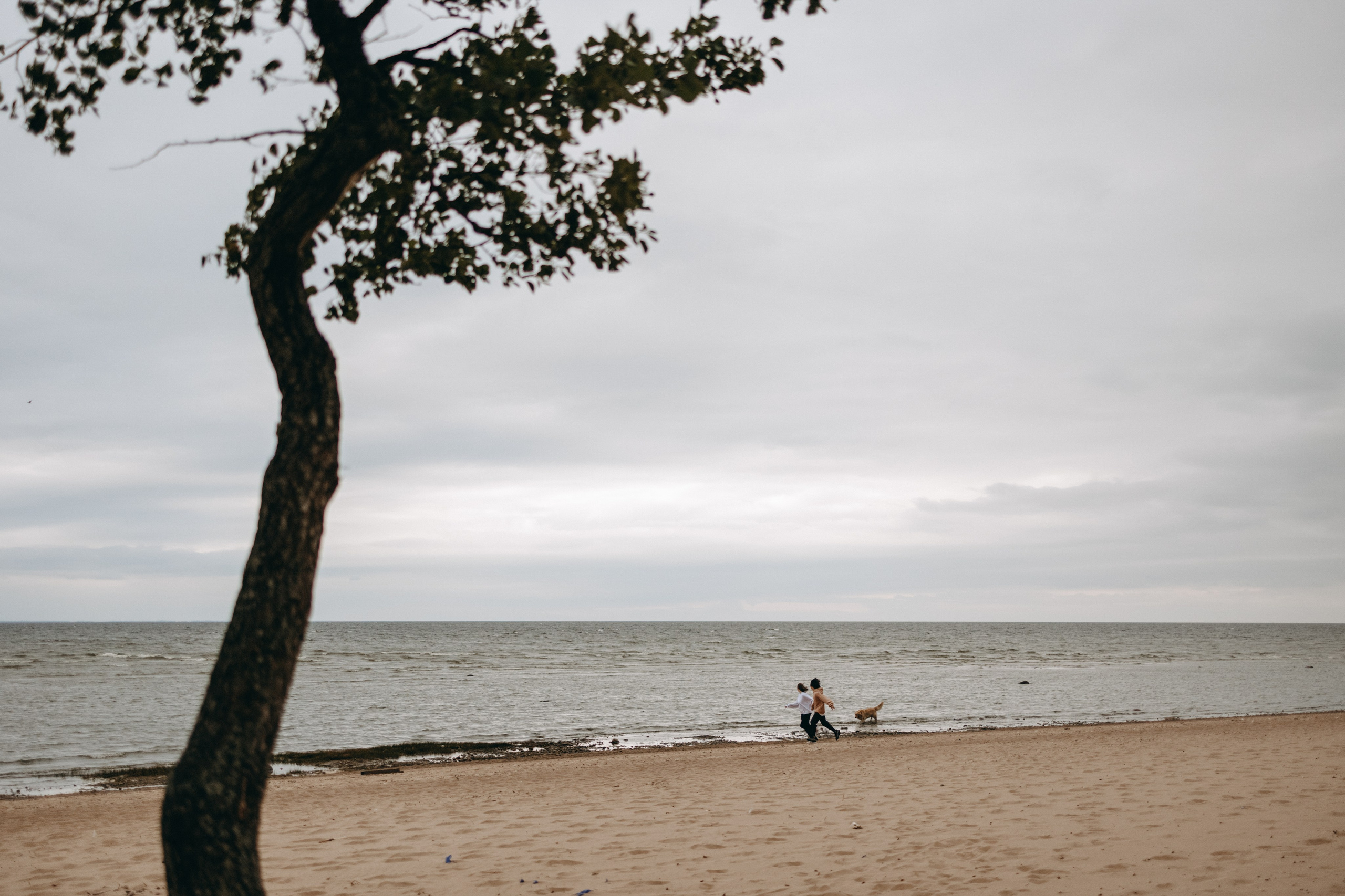 Фоси и его семьи. Фотограф — Анималист | Санкт-Петербург
