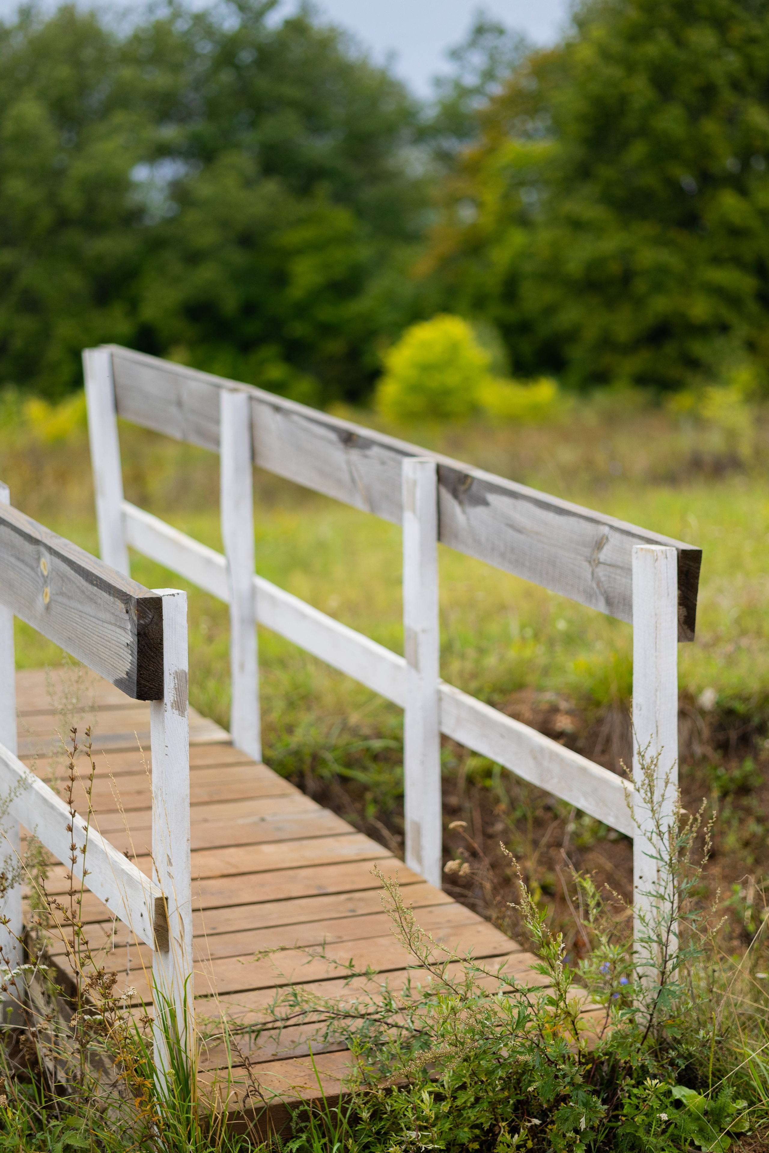«Айхылыу». Свадебный и семейный фотограф в Уфе Лариса Кучук