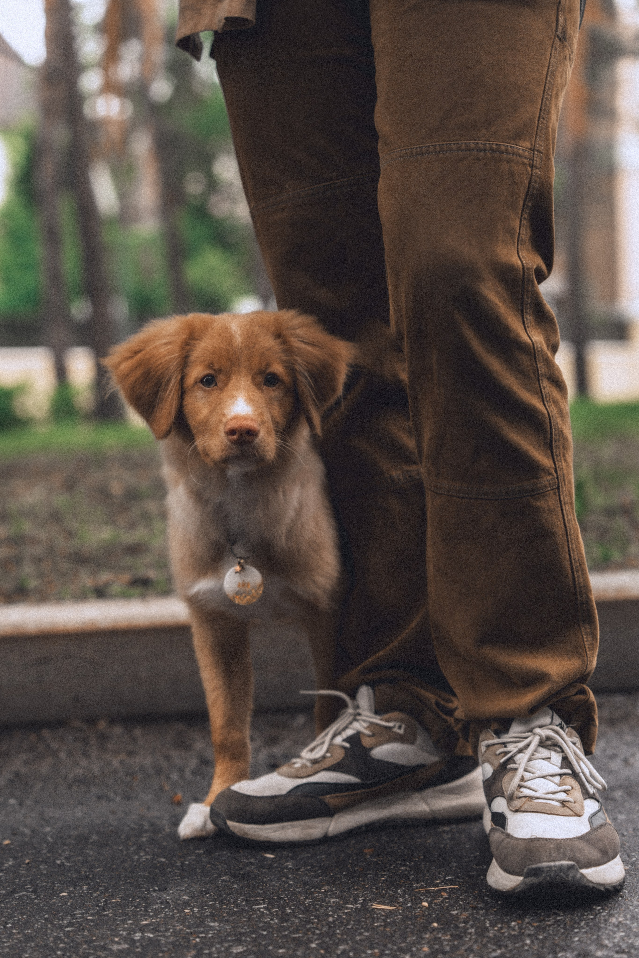В ♡ А ✧ Айя — Любовь с рыжим хвостиком. Свадебный и портретный фотограф в Москве, Светлана Янковая
