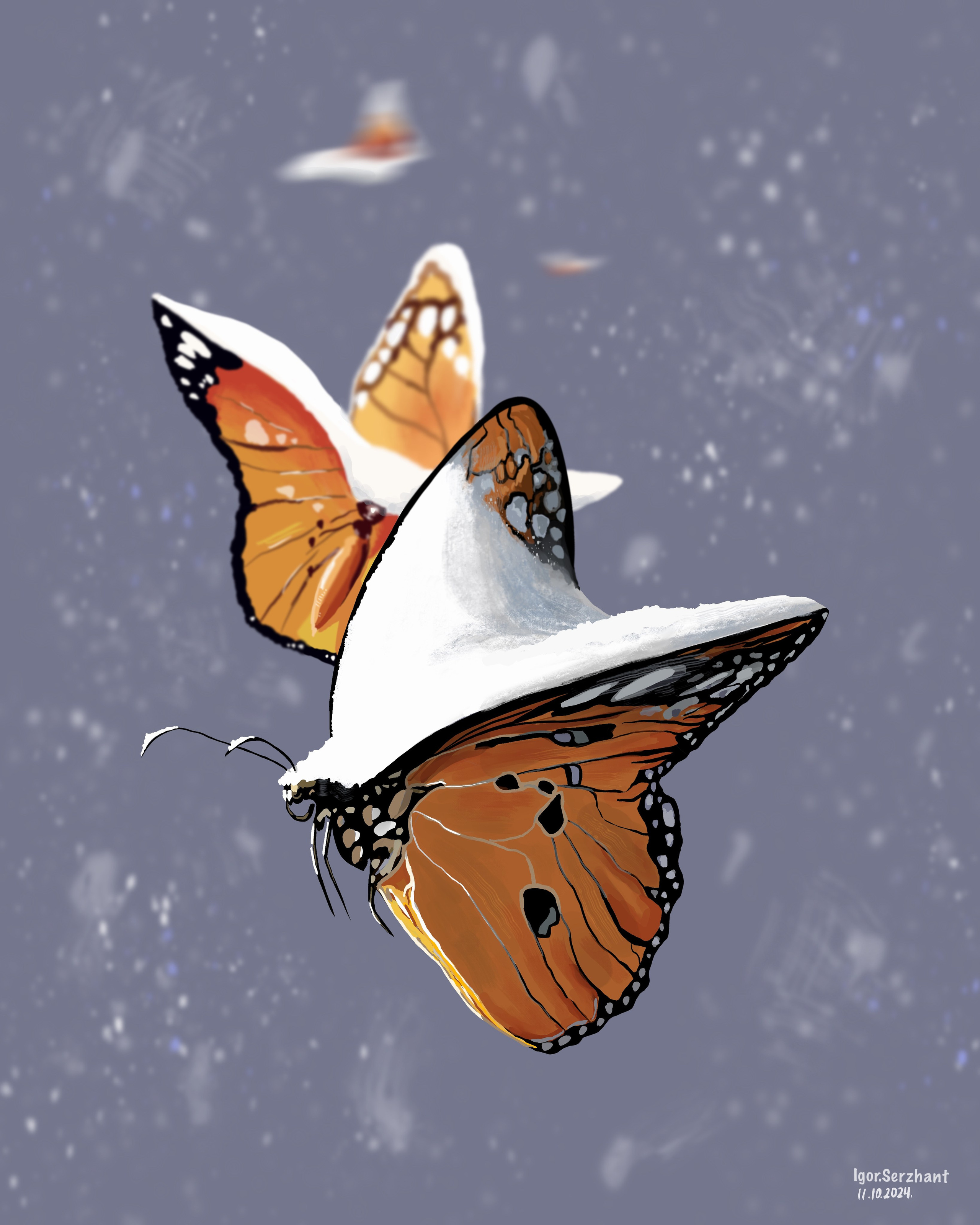 Графика и иллюстрации. IS — Игорь Сержант | Фотография и рисунок