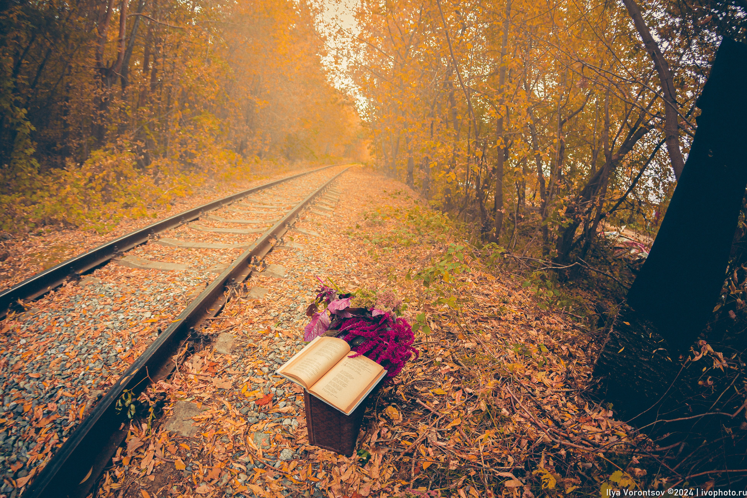 Фотодень «Осенняя Меланхолия». Фотограф в Казани Воронцов Илья