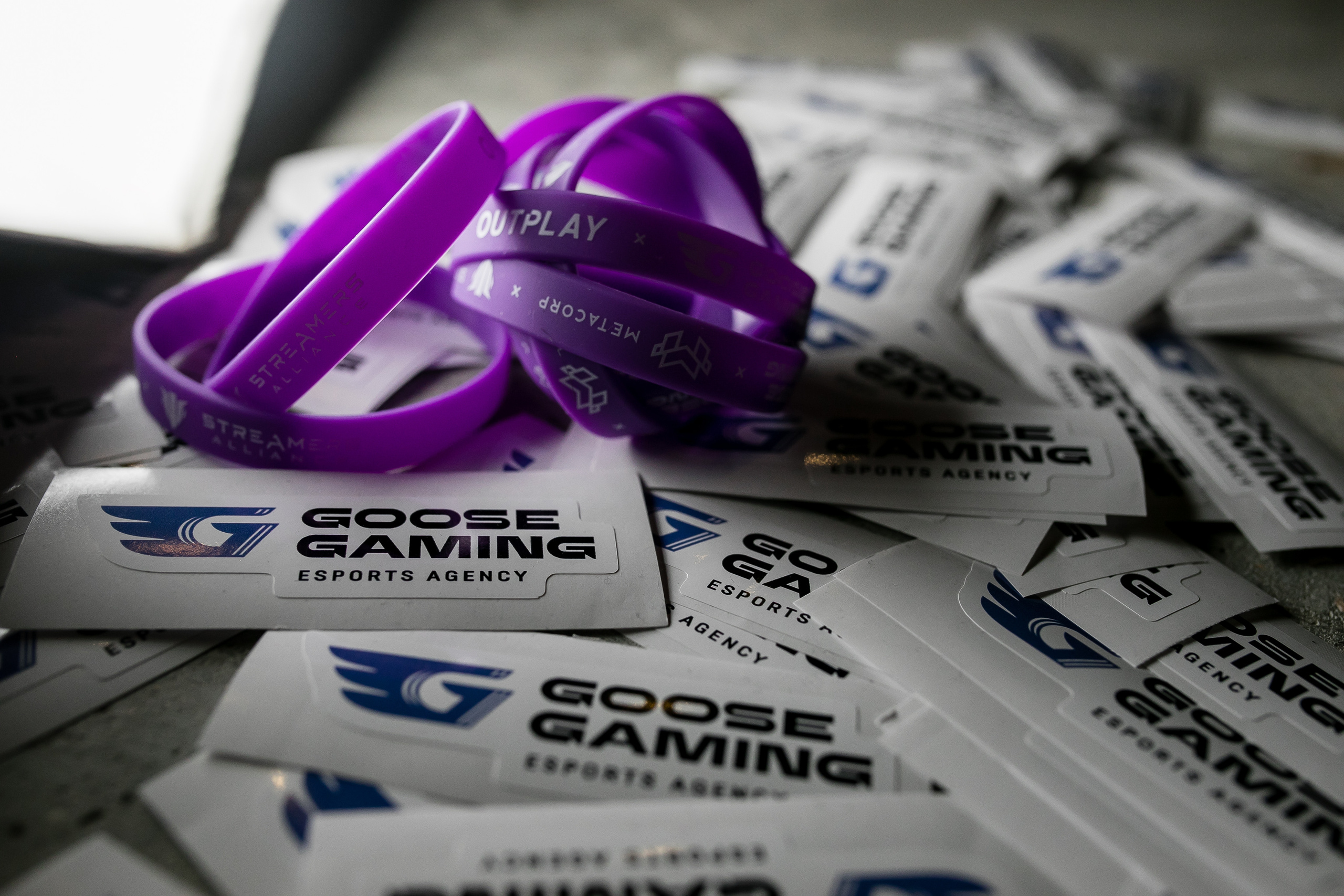 Игромир. Репортажной и Свадебный фотограф Слава Цесарь