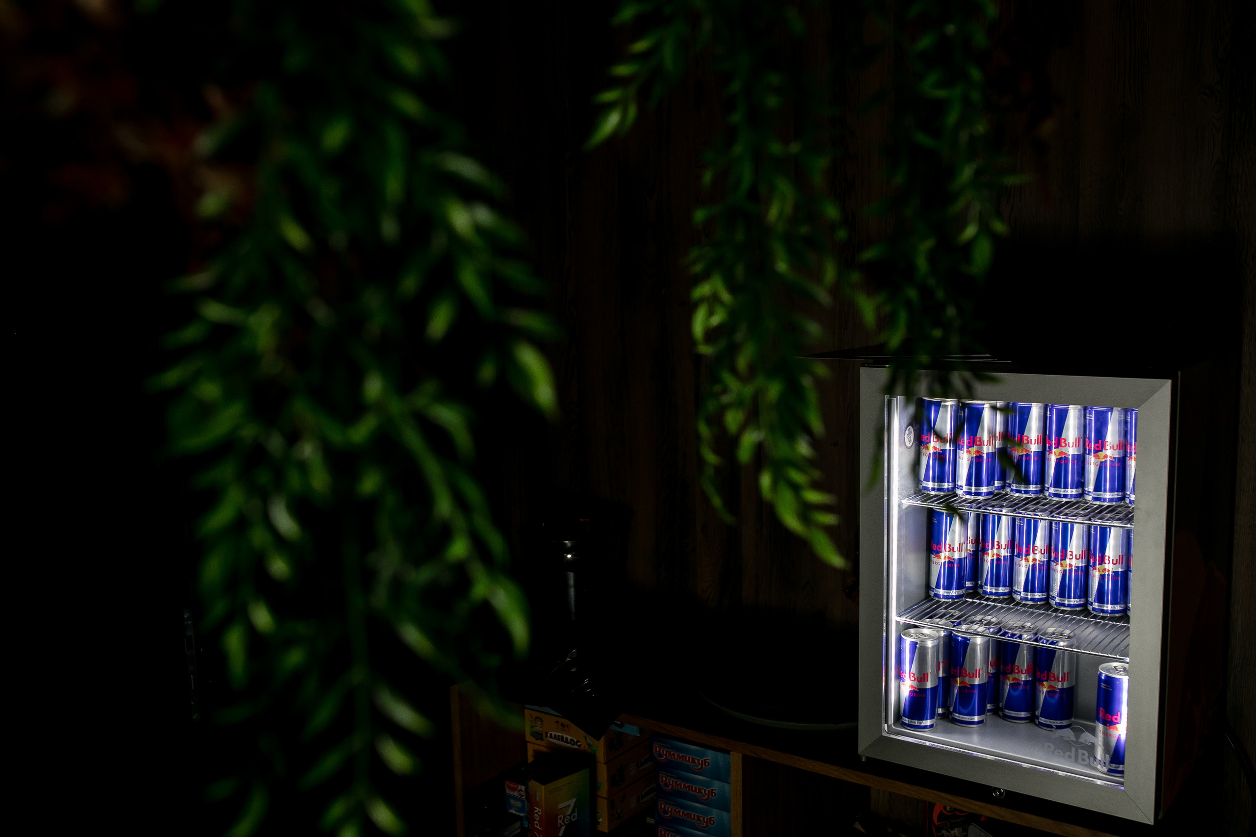 Игромир. Репортажной и Свадебный фотограф Слава Цесарь