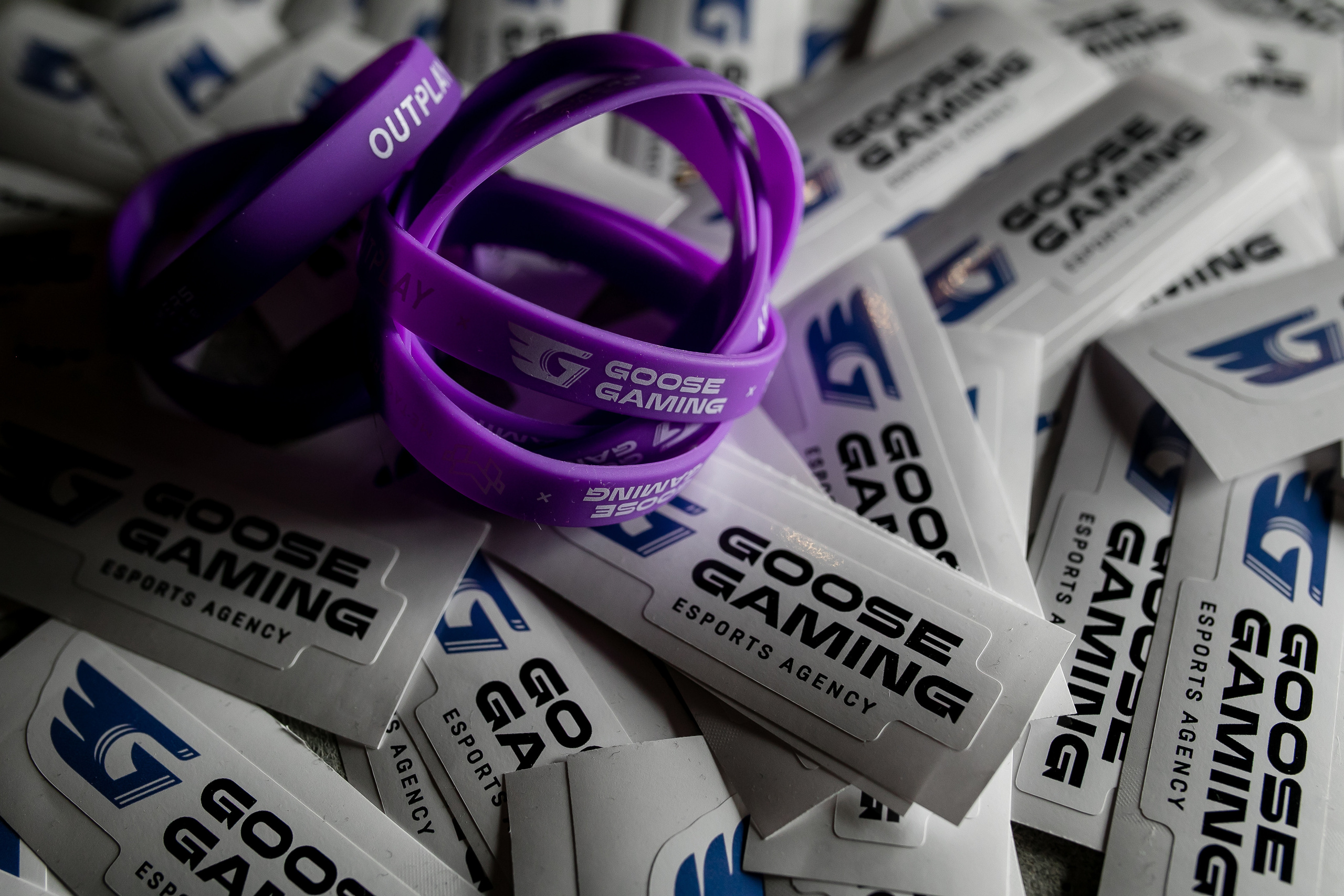 Игромир. Репортажной и Свадебный фотограф Слава Цесарь