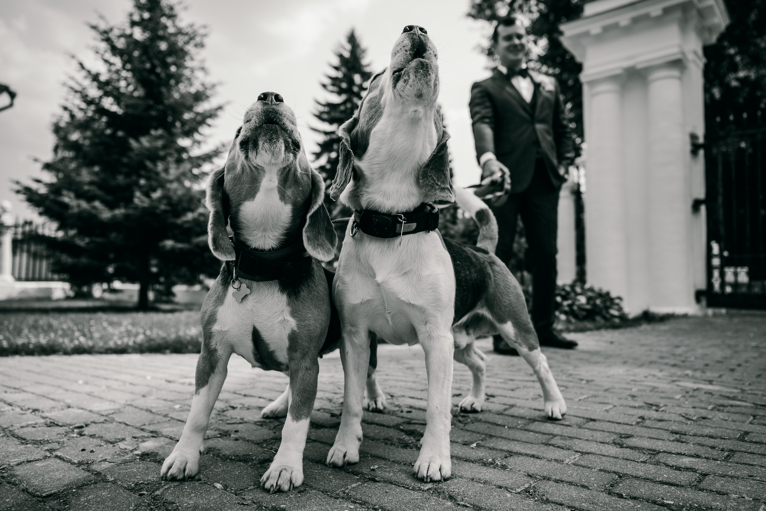 фотограф Слава цесарь, Слава Цесарь, фотограф Москва, Свадебный фотограф