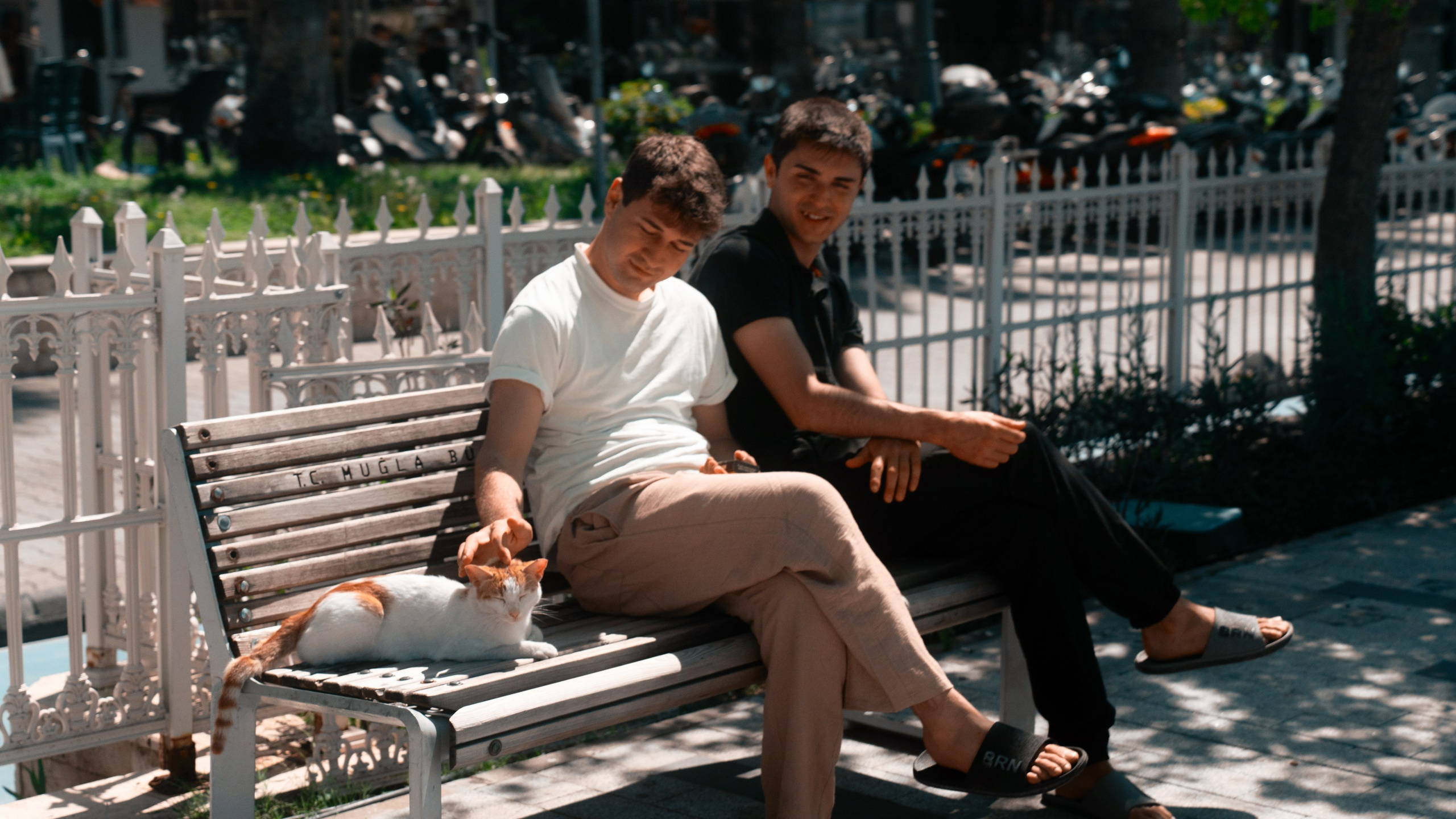 Турция, Греция, Иордания. Фотограф в Хабаровске. Фотография за 24 часа