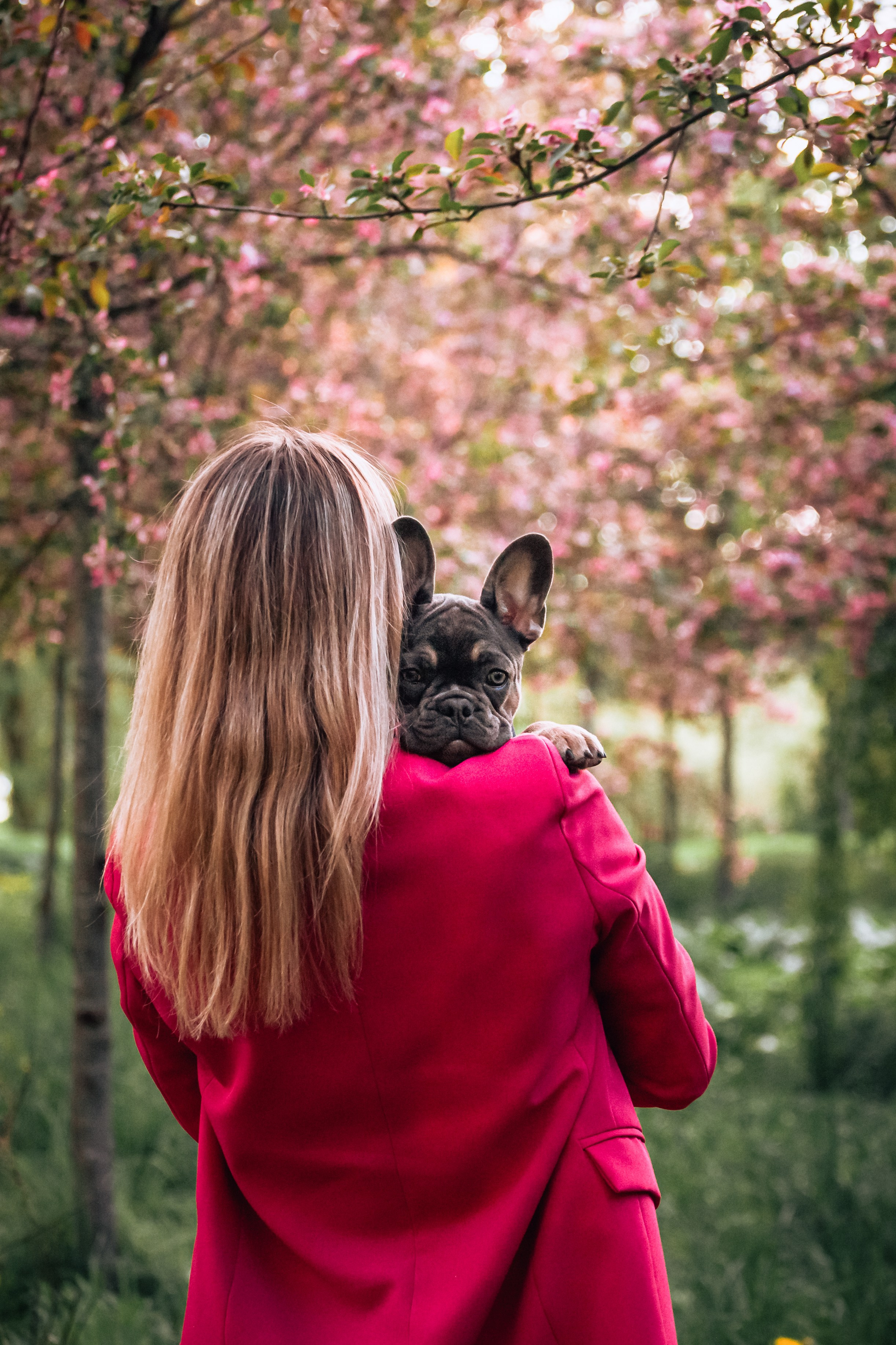 Даша и Мишель. Фотограф-анималист Татьяна Степанова