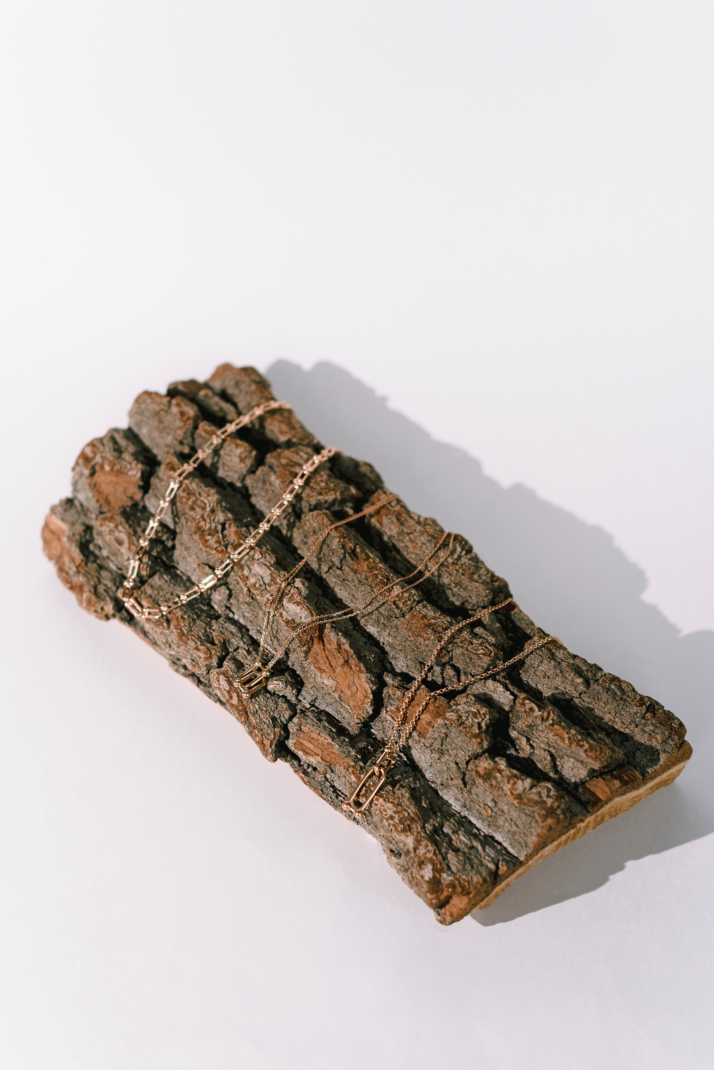 золотые цепочки на коре дерева