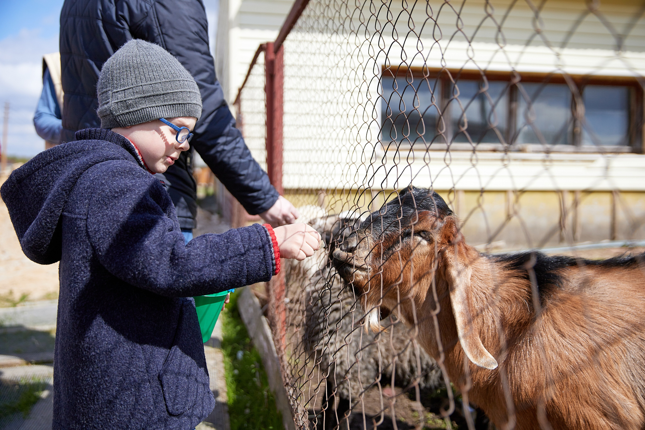 На ферме. Главная