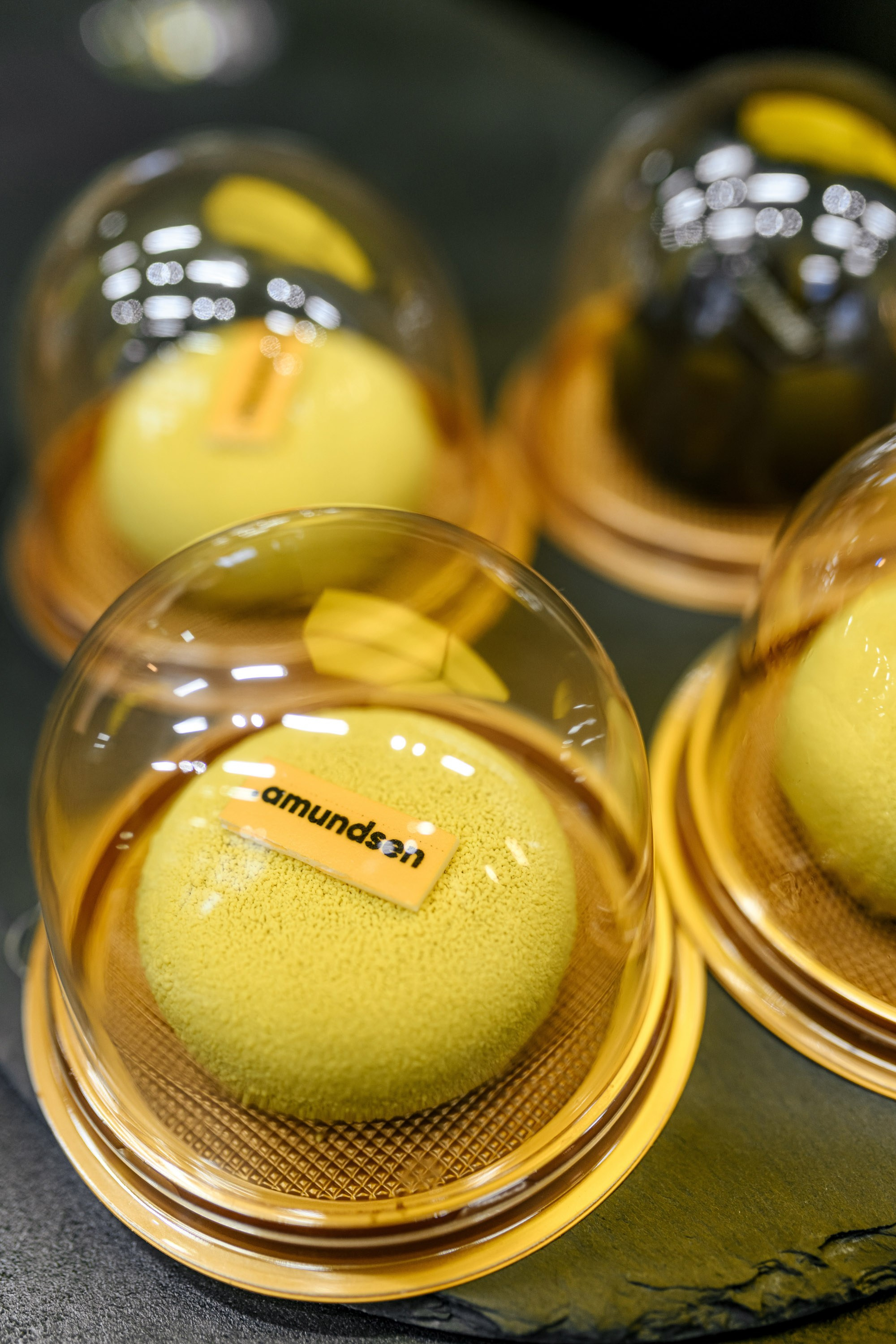 Amundsen. Максим Комаров — Профессиональный фотограф