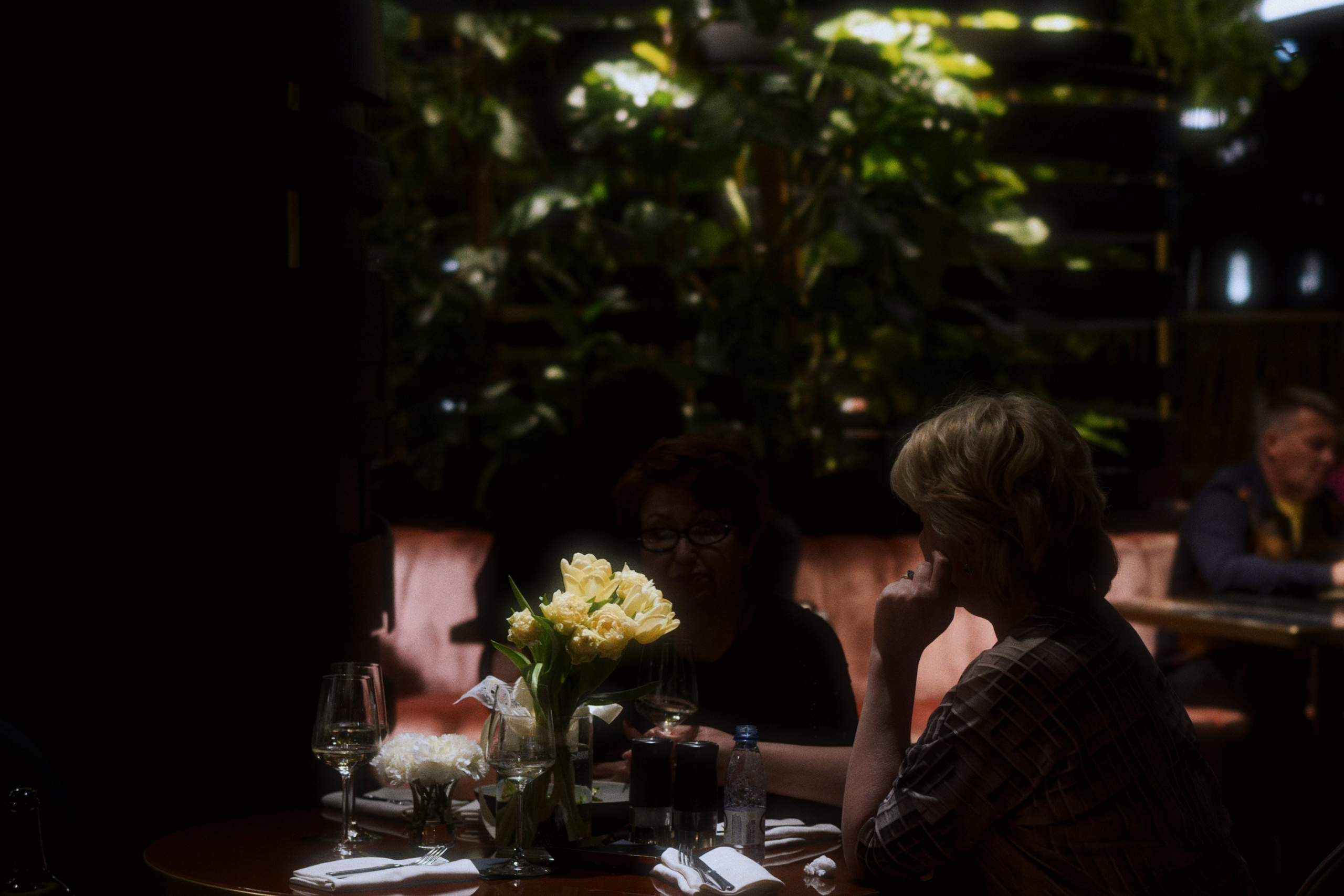 Café krasnodar / international women’s day. Фотограф Юрин Евгений