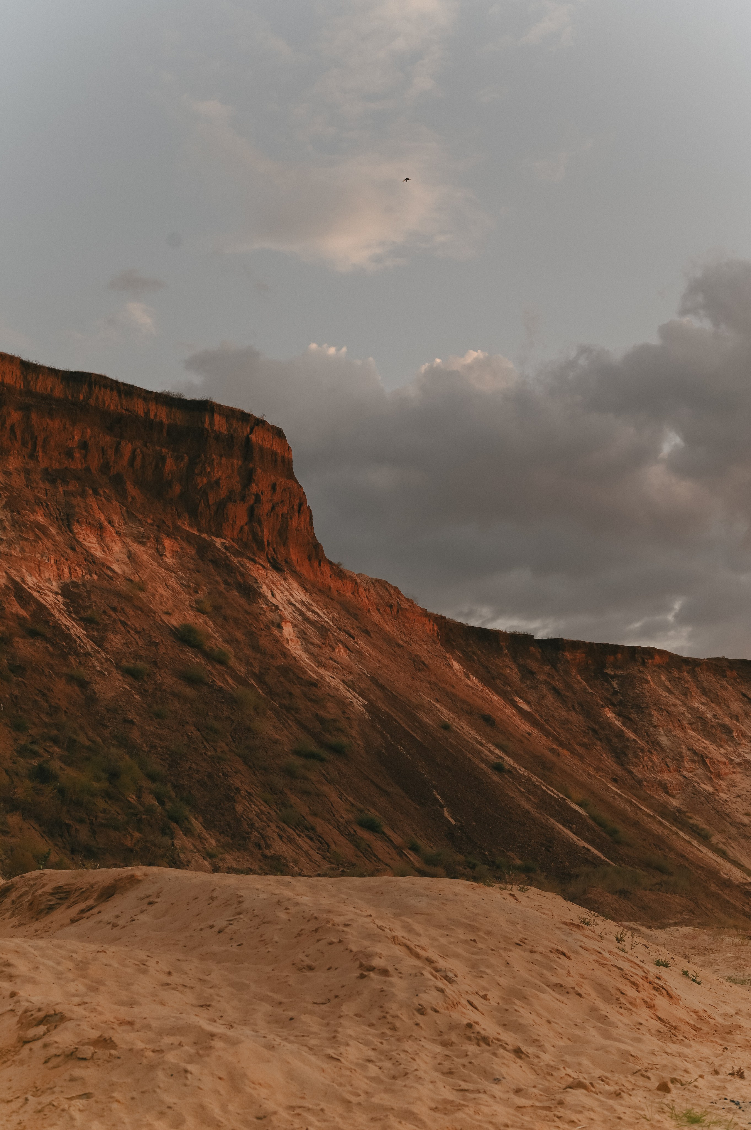 Паша + Даша. Свадебный и семейный фотограф Волгоград Москва