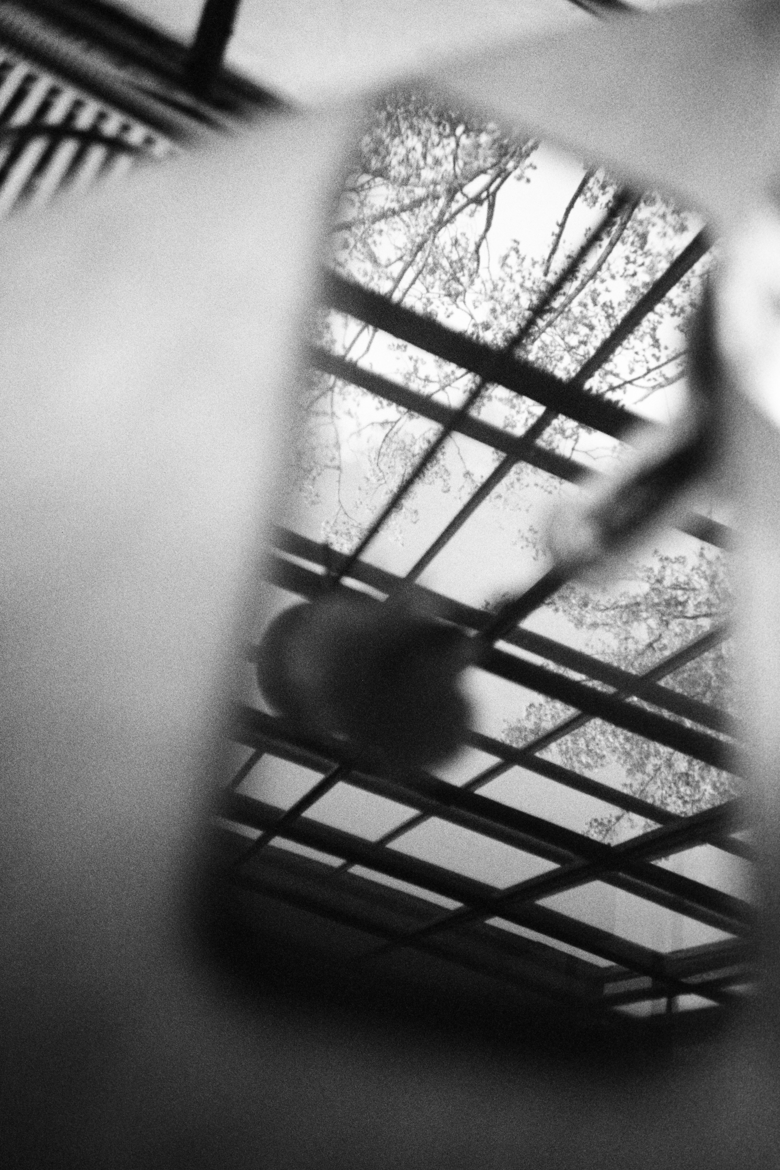 Grain. Artem Khusainov