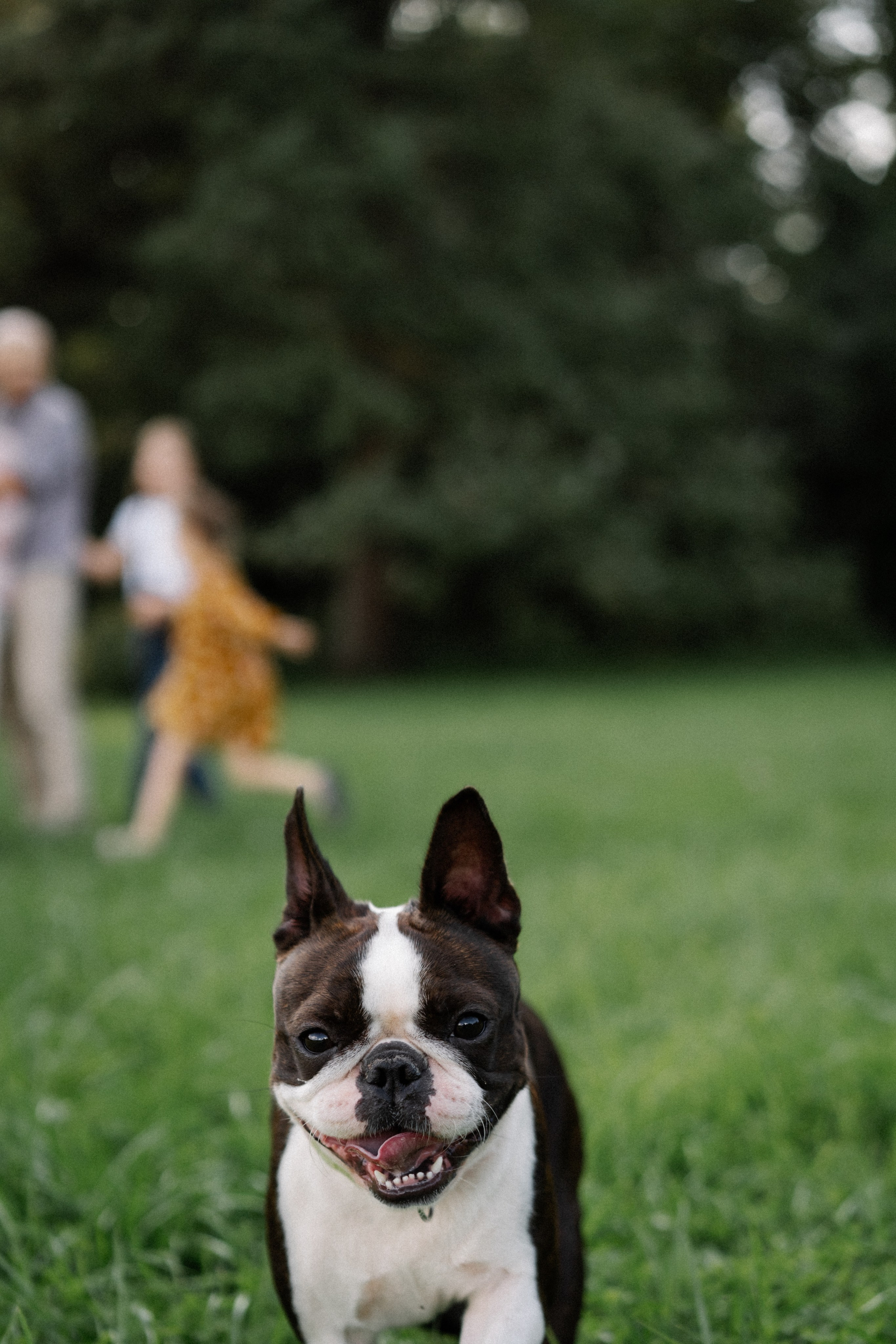 Семейные. Надя Инкина фотограф Москва