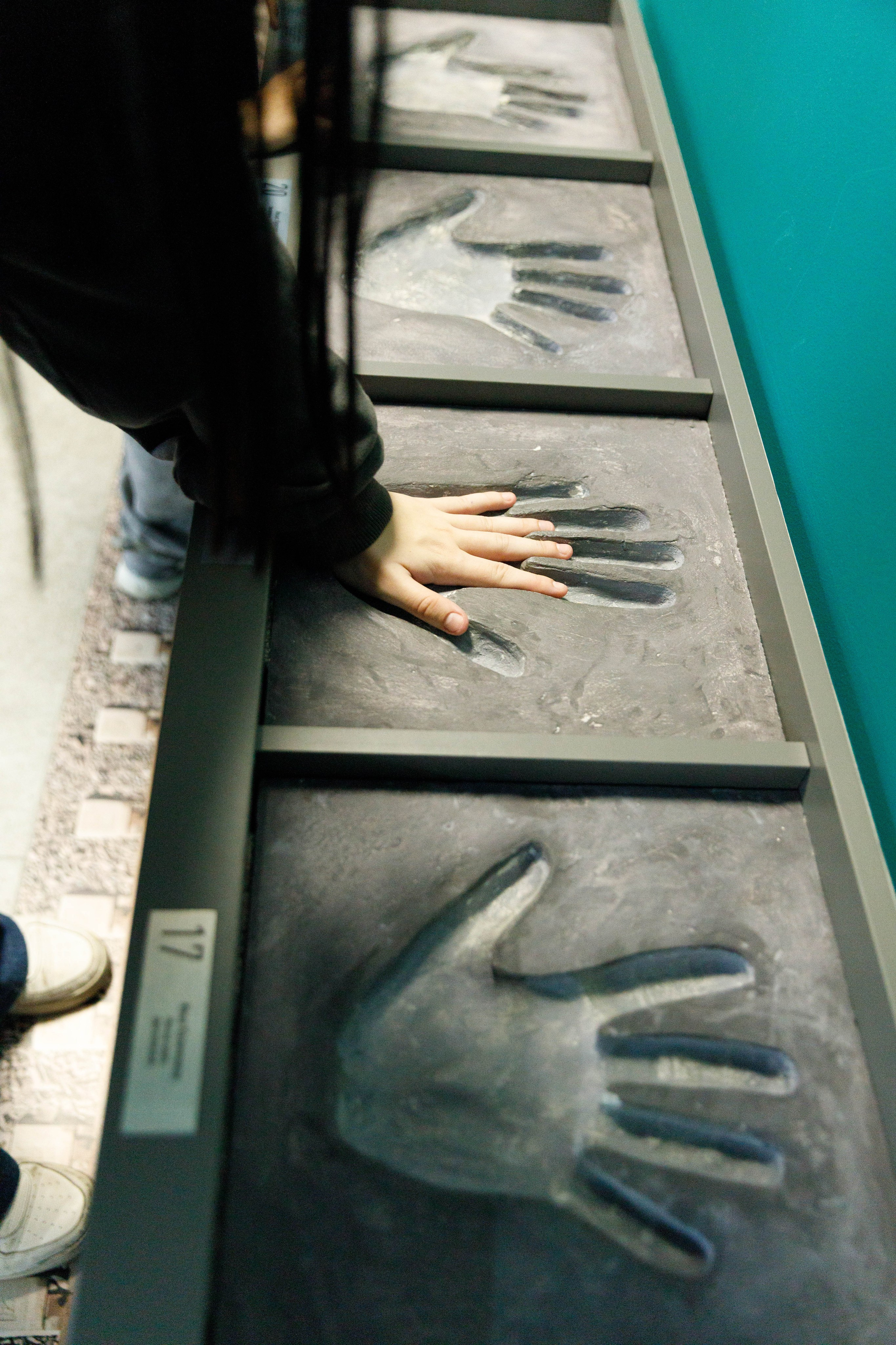 ВК «Локомотив». Экскурсия для фанатов клуба. Репортажный фотограф в Новосибирске Алена Помазунова