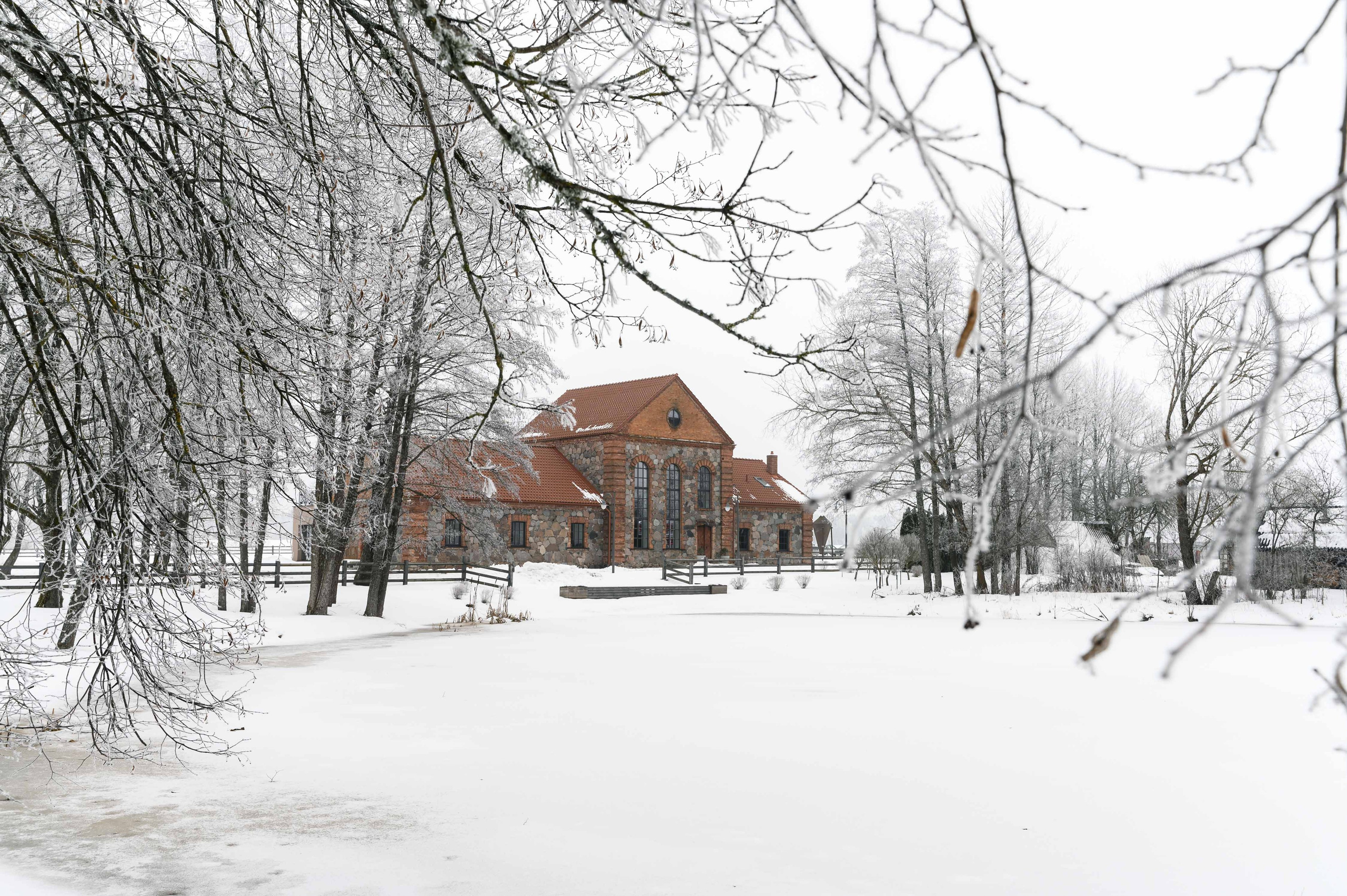 ЖЕСТОКИЕ ИГРЫ Евгении Яблоковой. Свадебный фотограф Минск