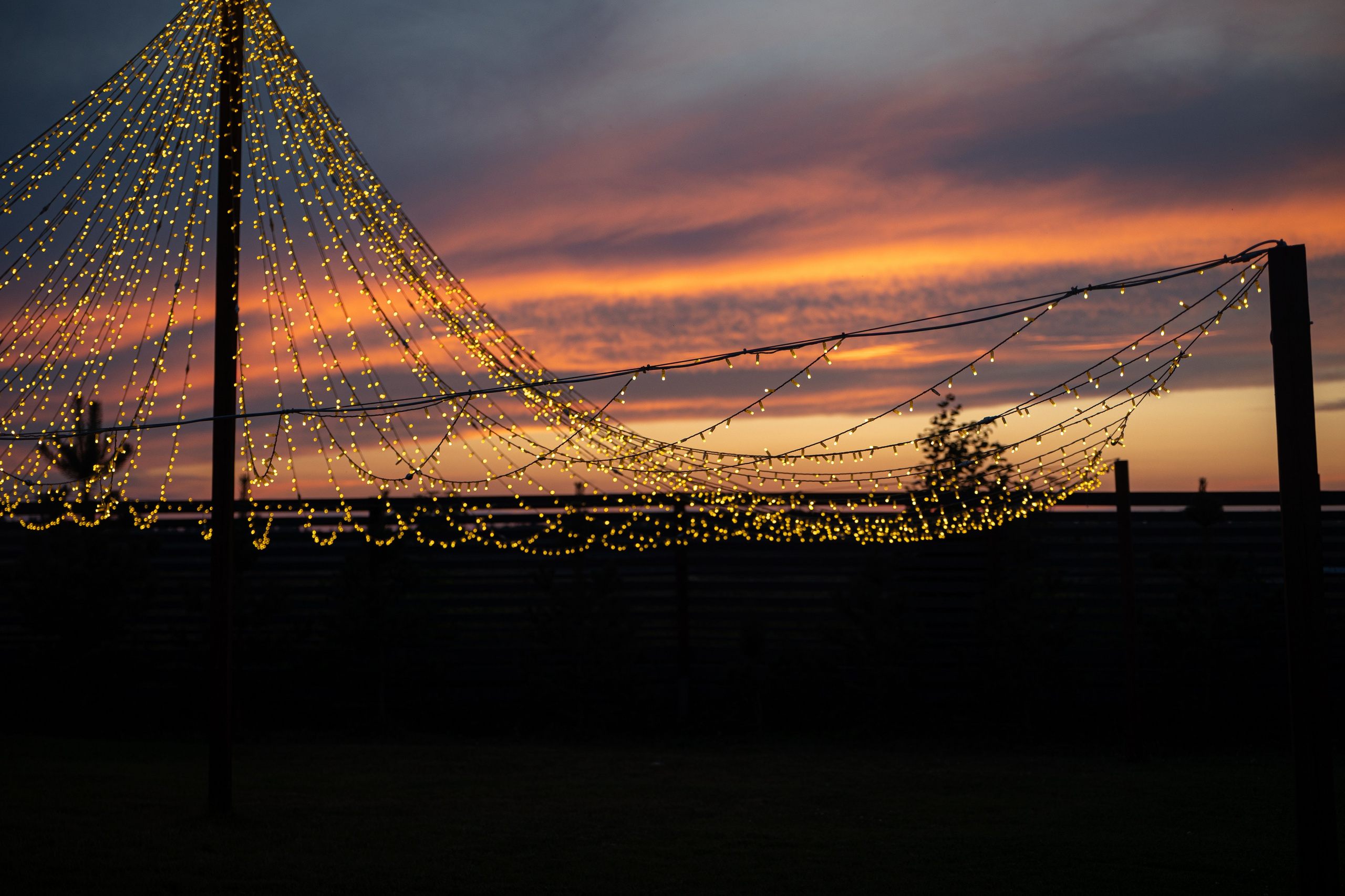 Мария и Даниил. Ваш фотограф — Александра Андрущенко