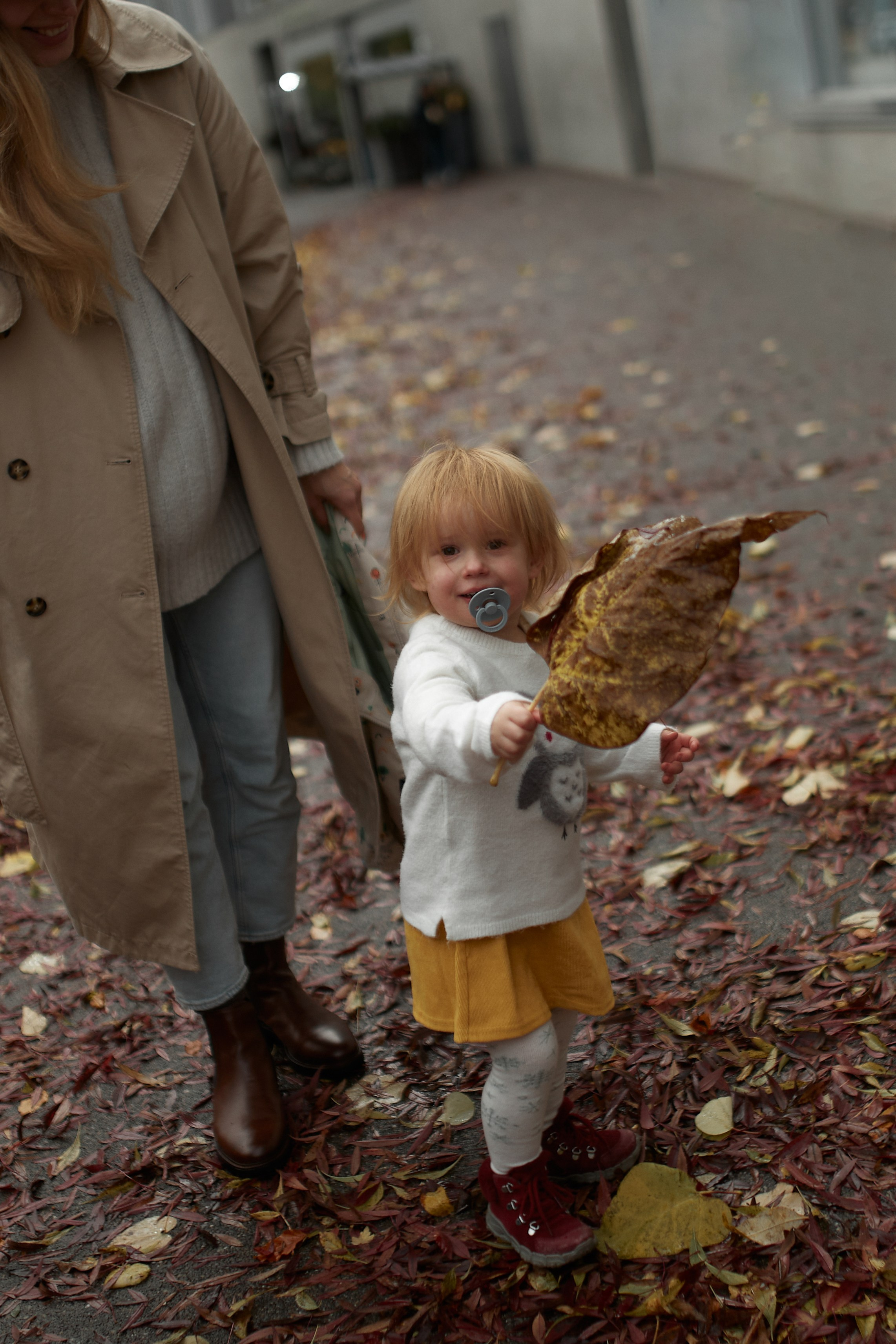 Осень в Цюрихе. Ваш душевный фотограф