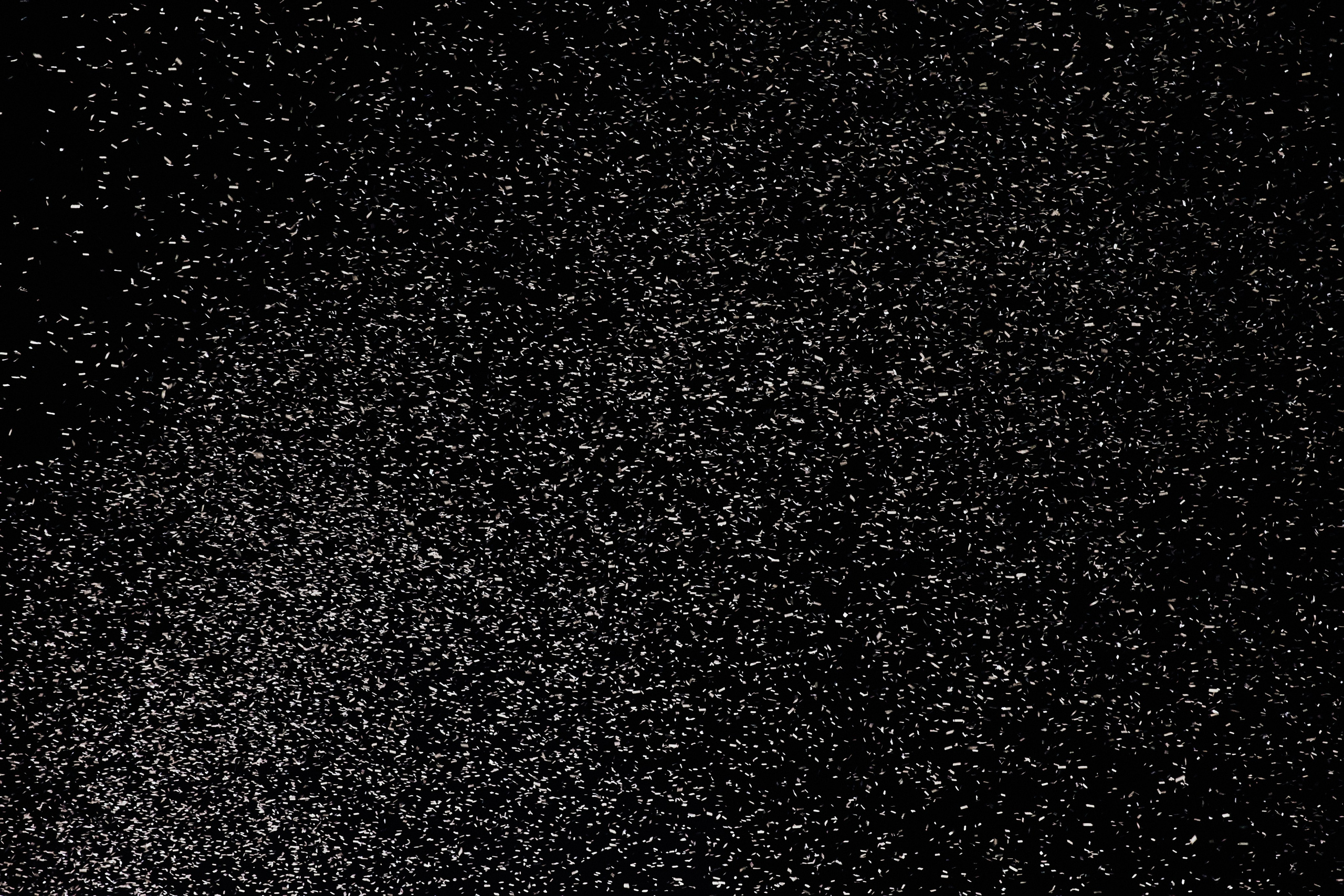 MIKHAYLOVSK CITY DAY. Дмитрий Мазуркевич: Профессиональный Репортажный Фотограф